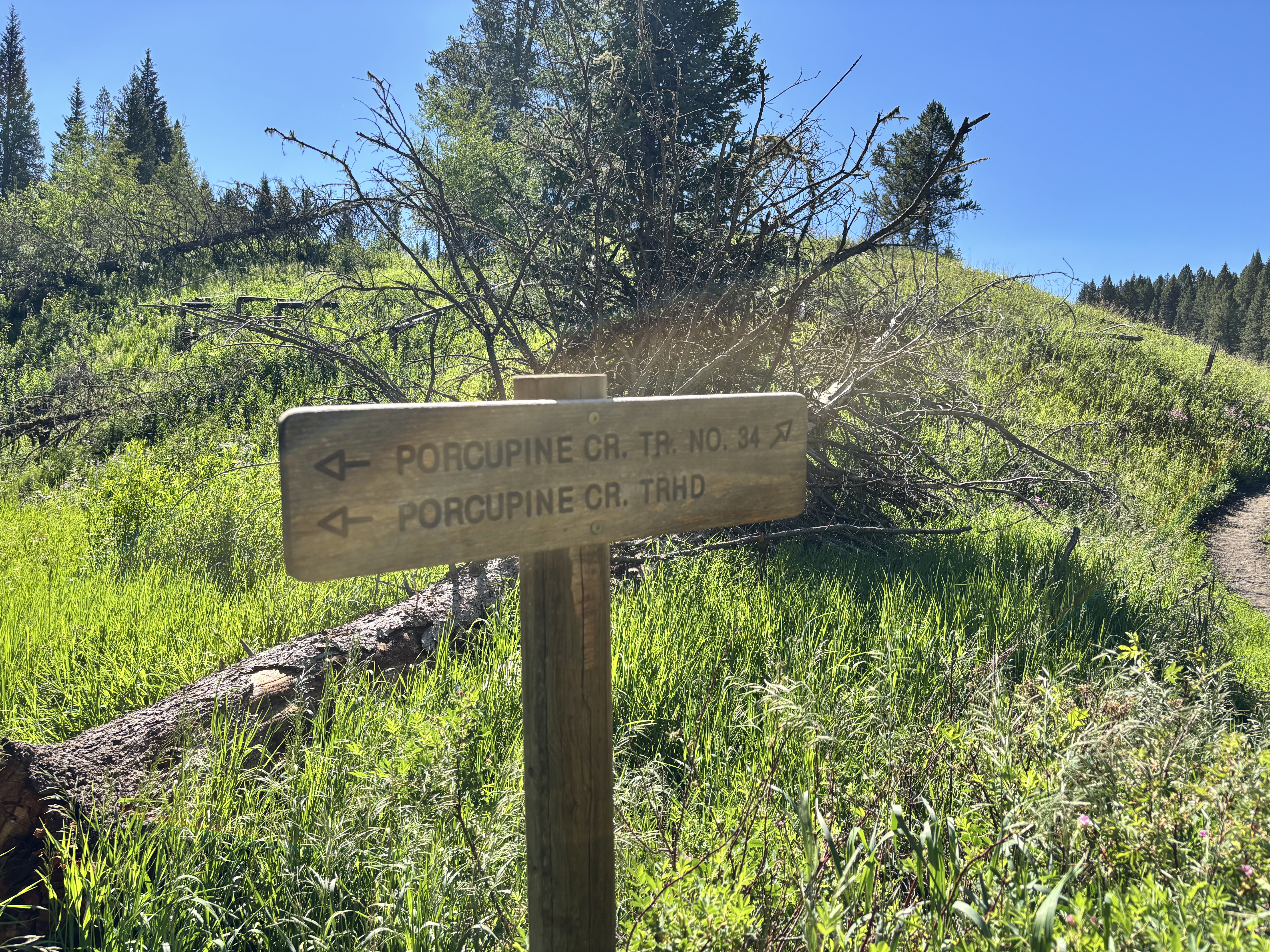 Porcupine Creek Trail Number 34 junction marker in the grass