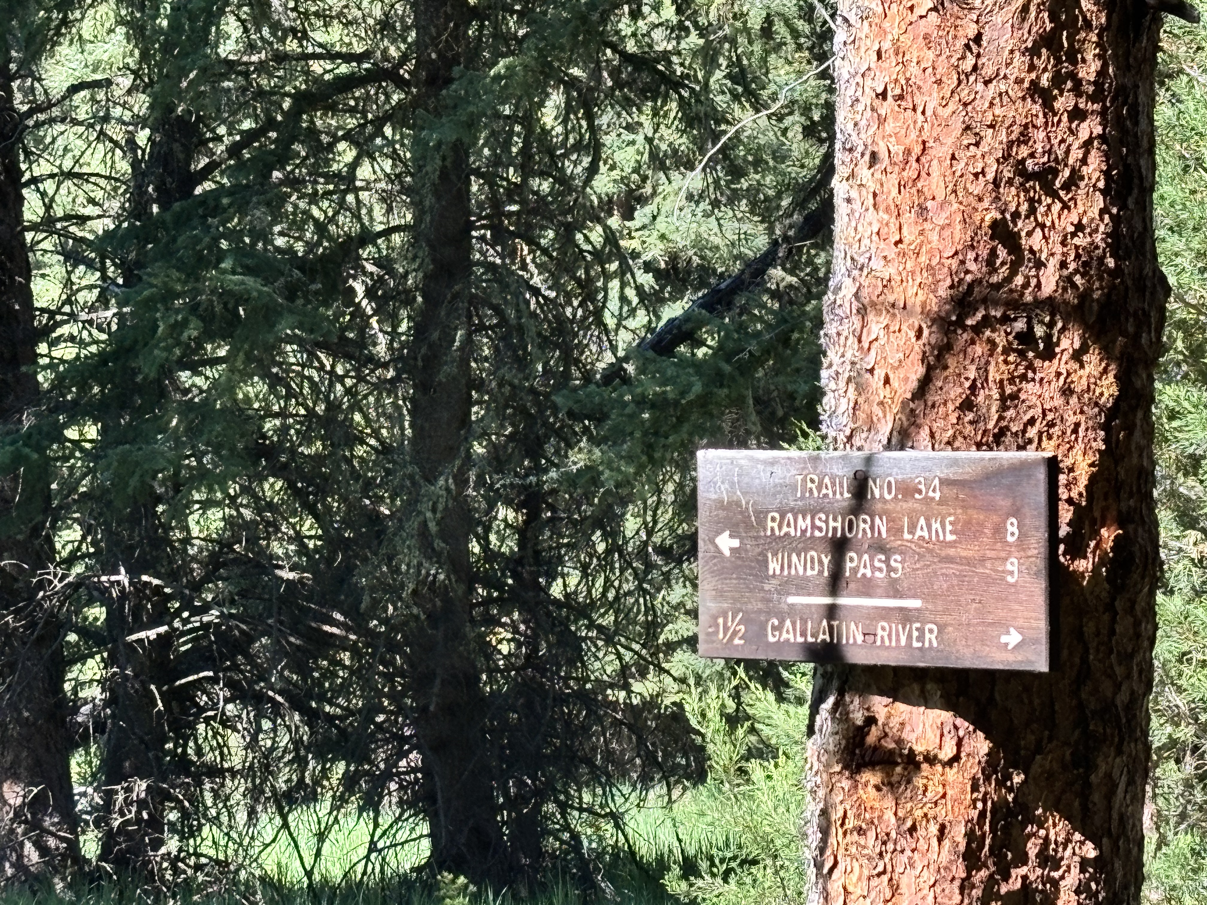 Wooden Trail Number 34 sign pointing toward Ramshorn Lake and Windy Pass