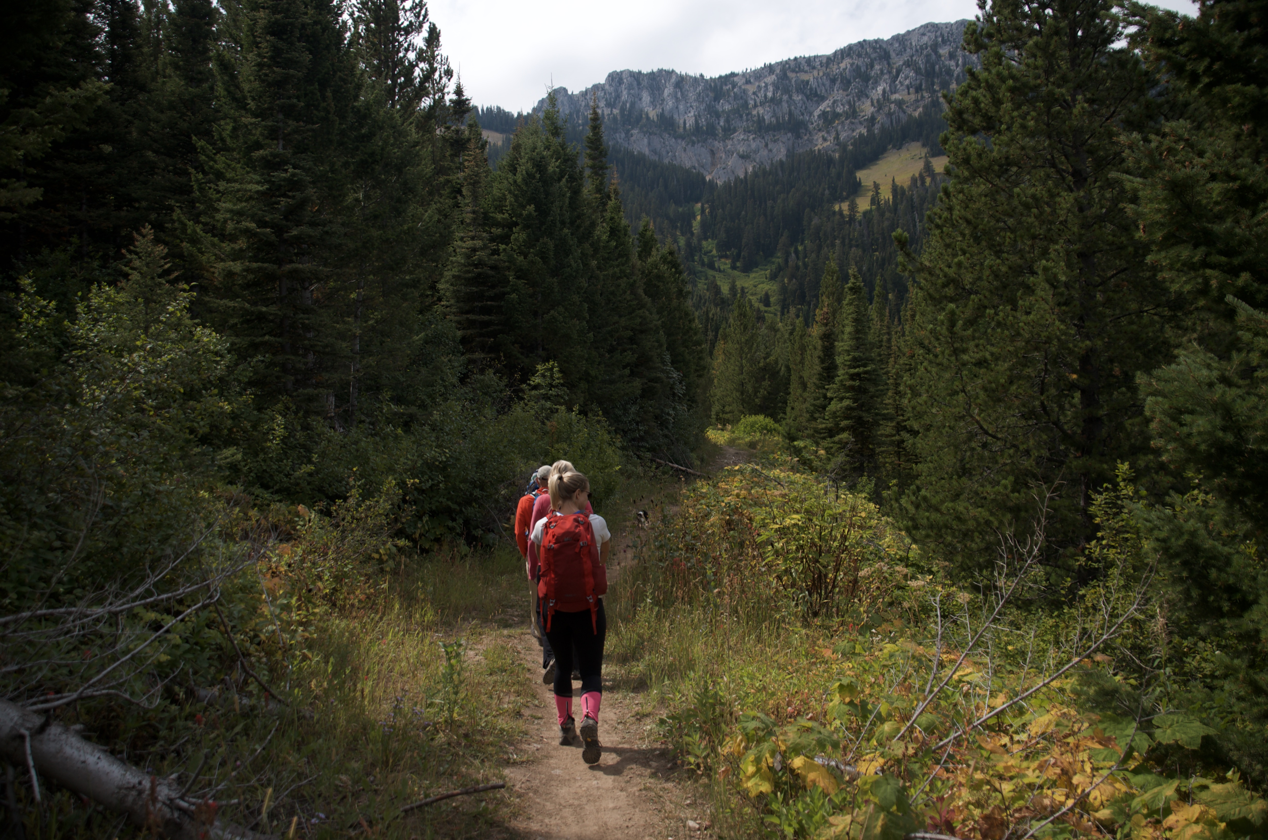 Two hikers with red backpacks on narrow forested trail with rocky peak visible through trees ahead