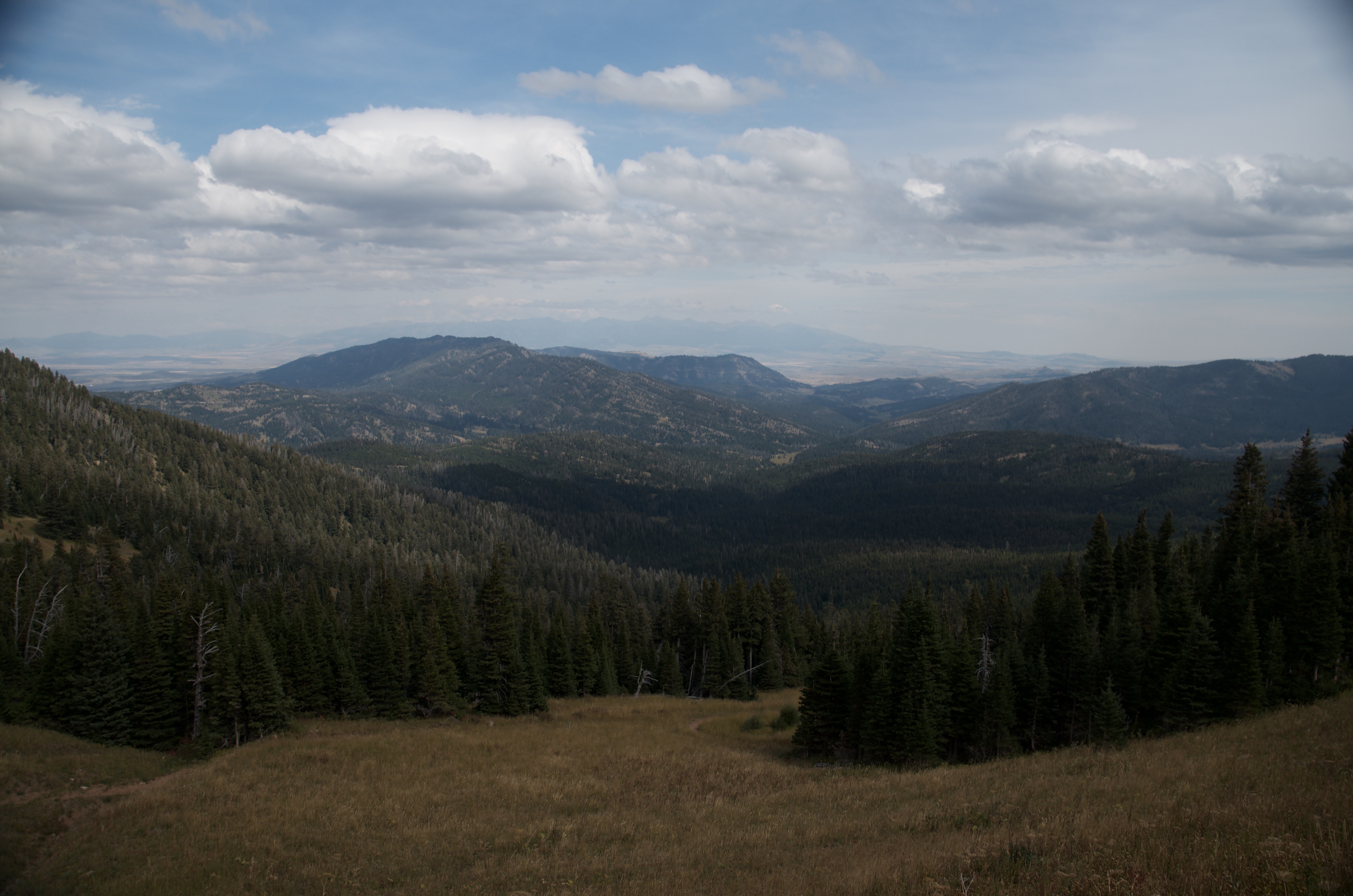 Wide panoramic view of Gallatin Valley from Ross Pass with layered forested ridges and open sky