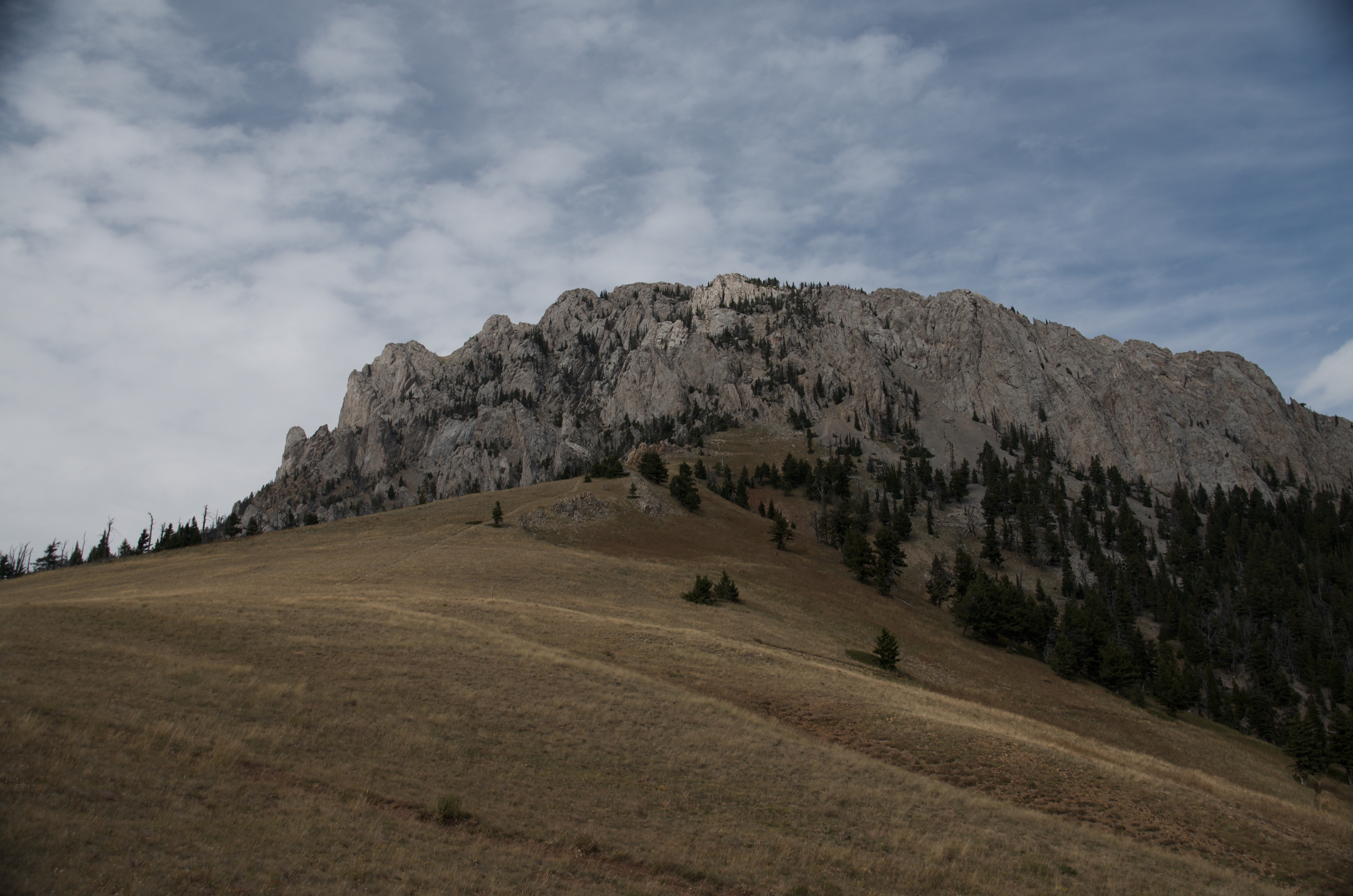 Jagged limestone cliffs of Ross Peak rising above open golden alpine meadow under cloudy sky