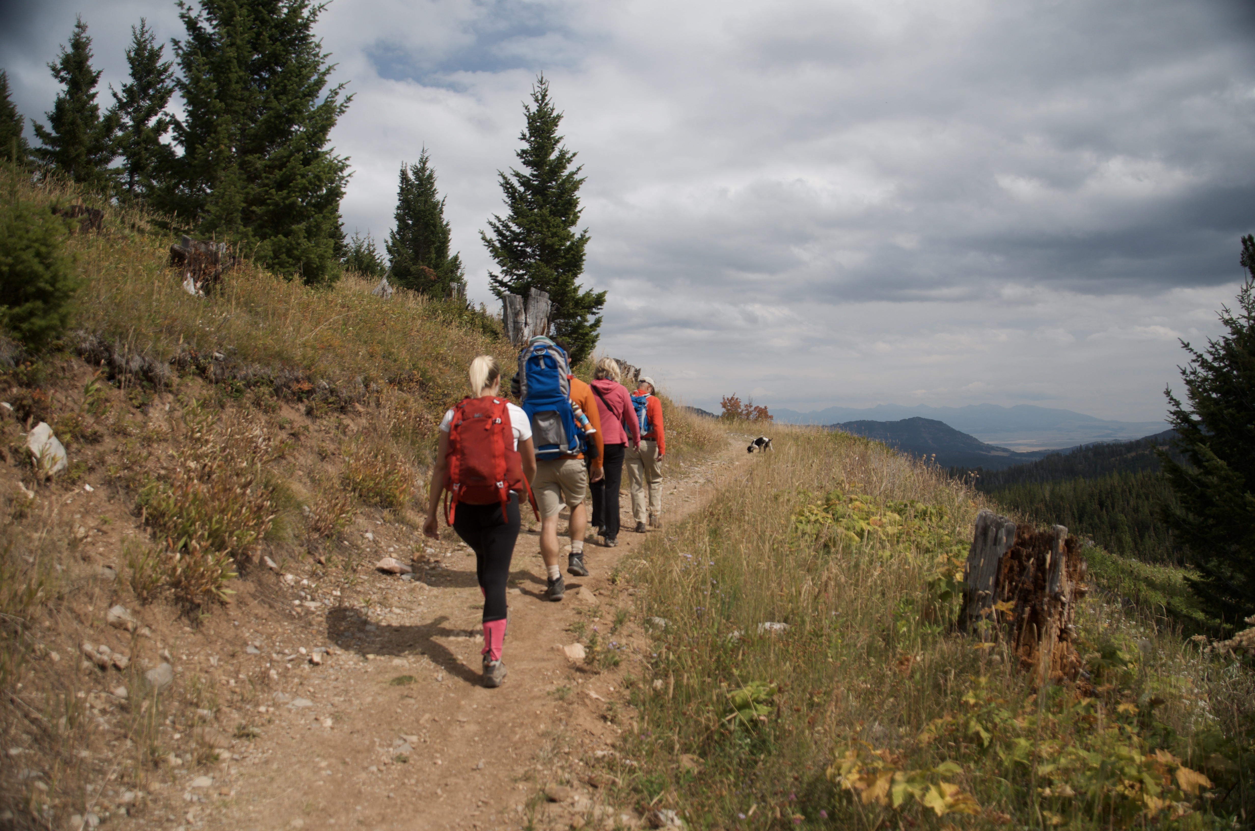 Group of hikers walking ridge trail above treeline with broad Gallatin Valley spread out behind them