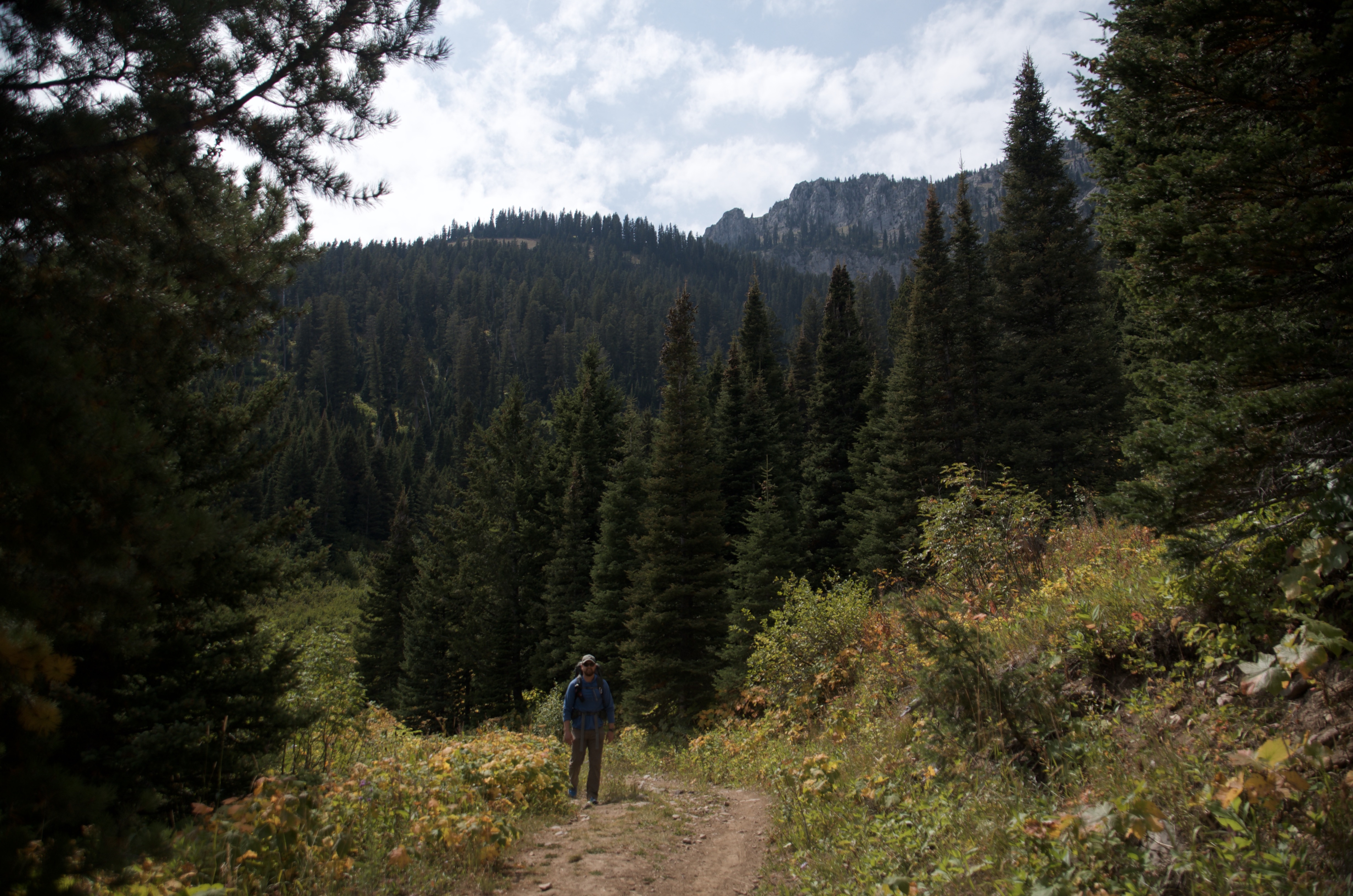 Hiker on trail gazing up at forested ridge with rocky peak emerging above through spruce trees
