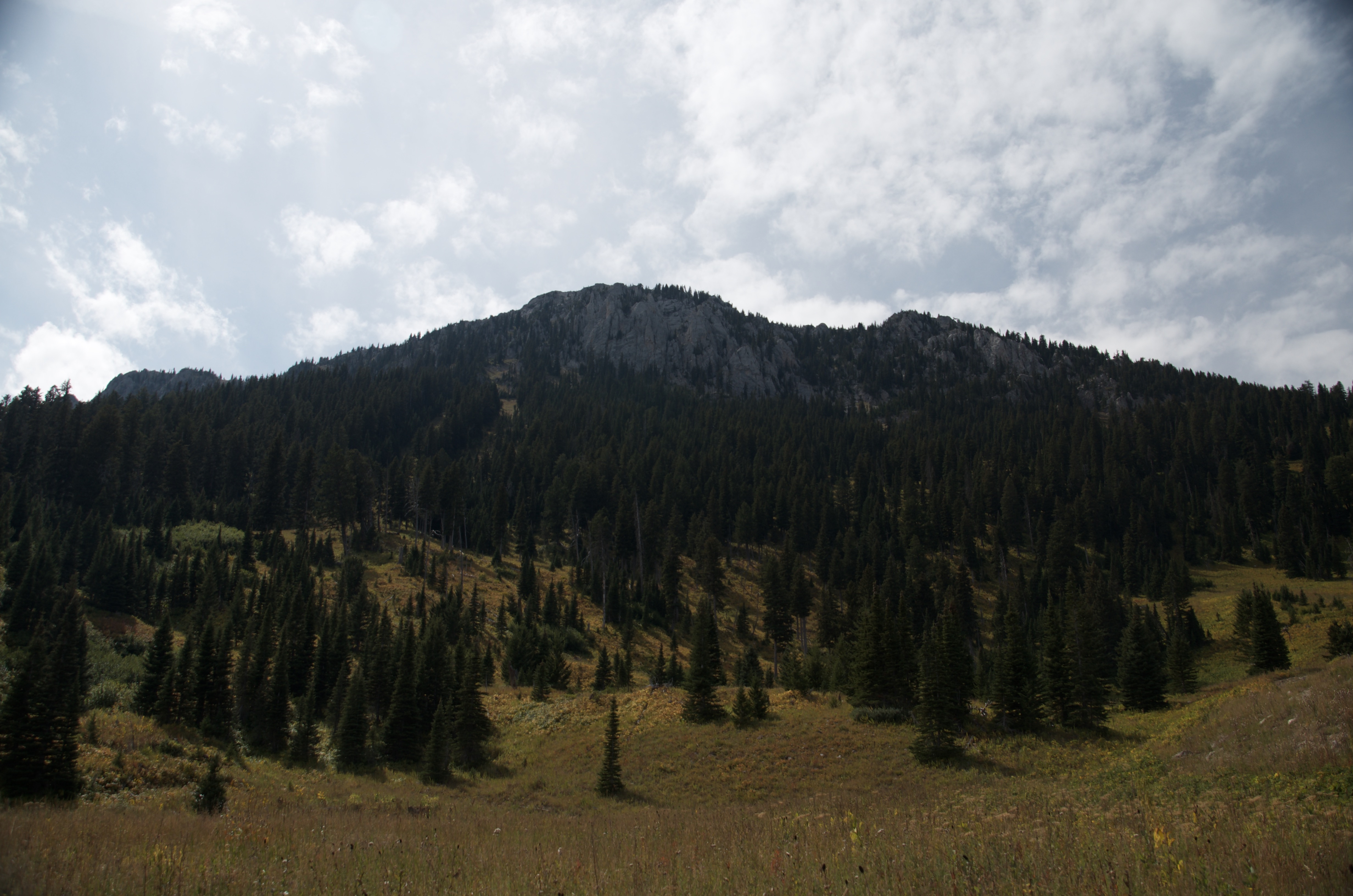 Full limestone cliff face of Ross Peak above open golden-brown alpine meadow under cloudy sky