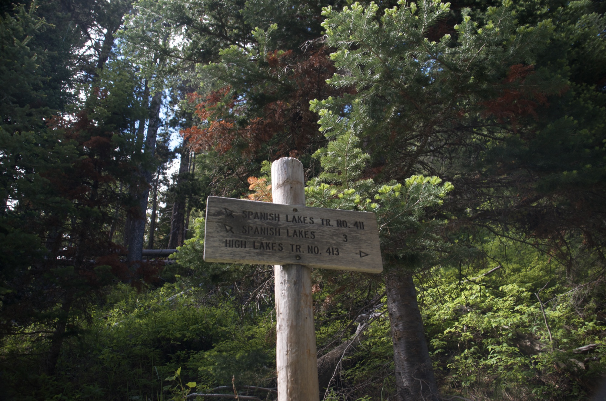 Wooden trail sign pointing to Spanish Lakes Trail 411 and High Lakes Trail 413