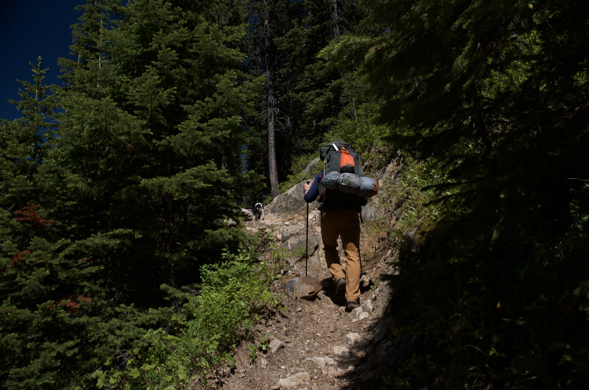 Backpacker ascending steep rocky trail through forest