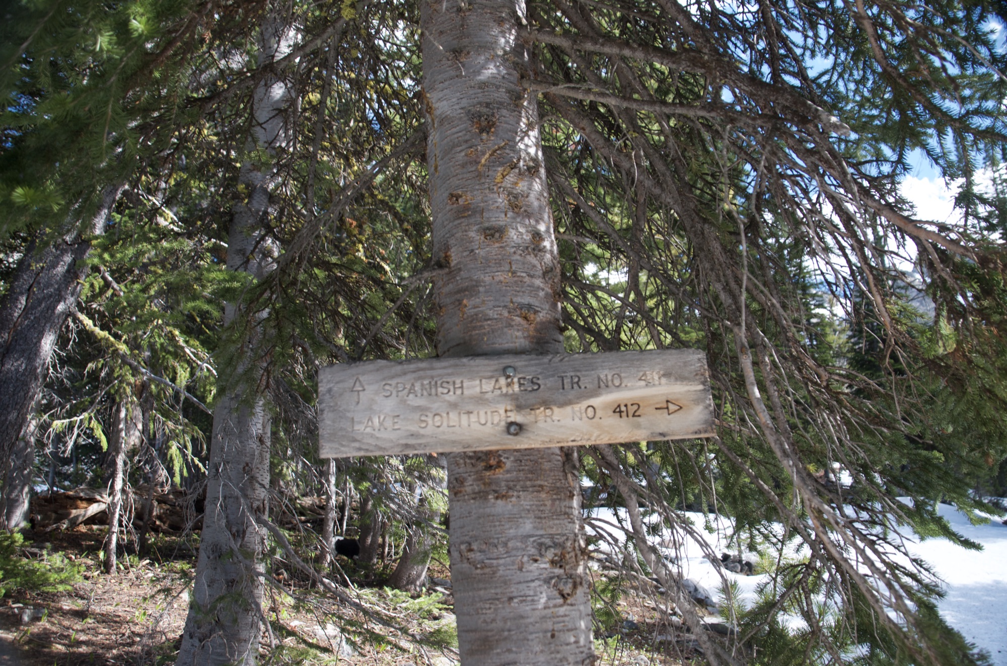 Trail sign for Spanish Lakes and Lake Solitude partially buried in snow