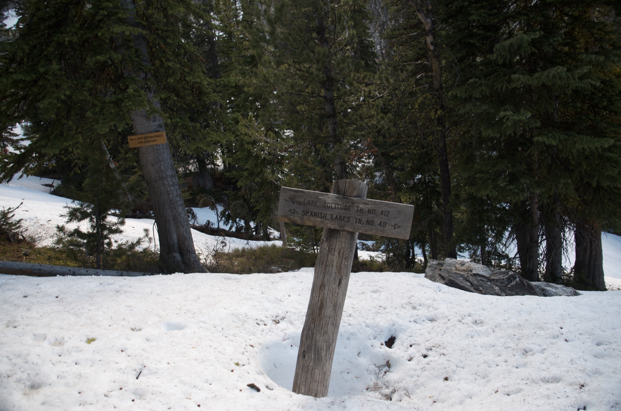 Trail junction sign surrounded by deep snow in late June