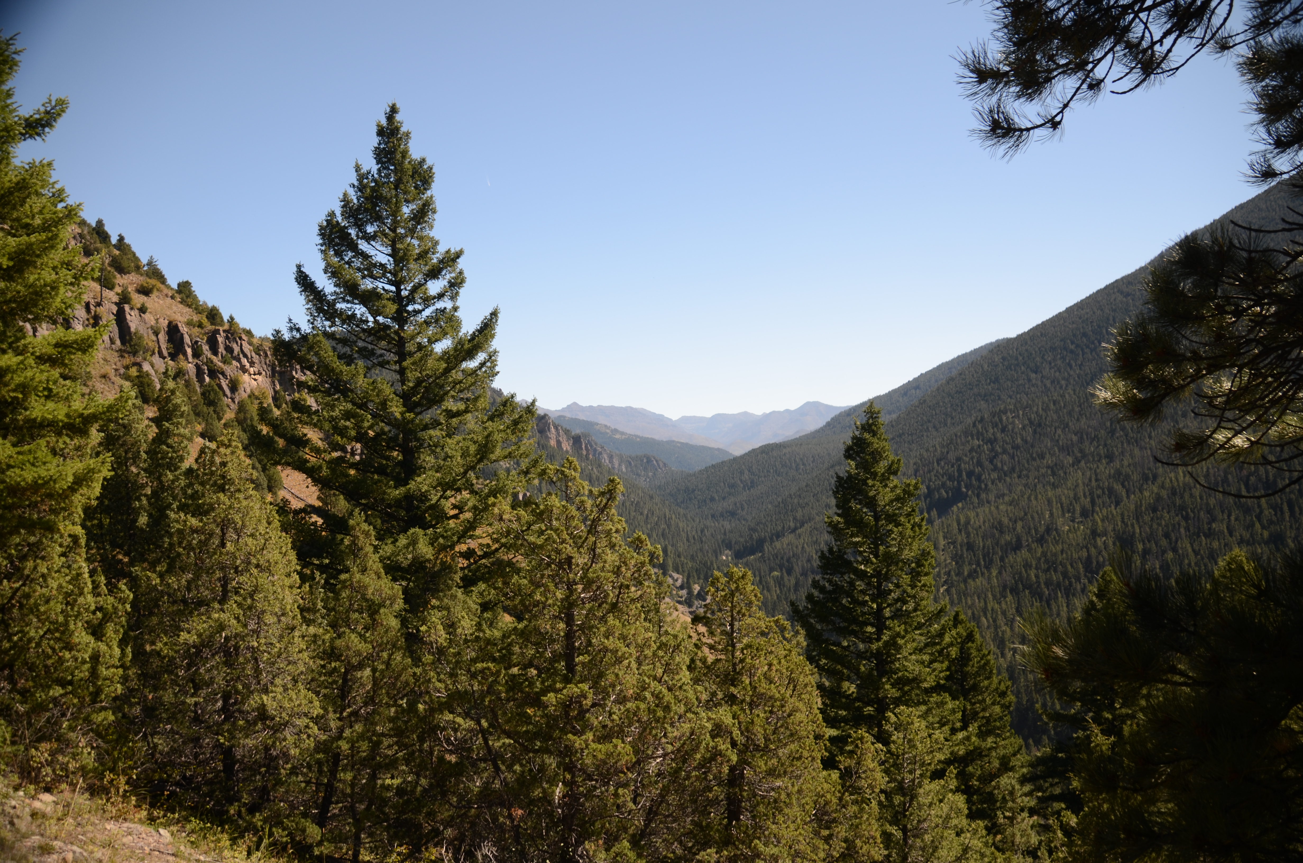 View down the Gallatin Canyon from the lower Storm Castle Peak trail through pine trees with rocky cliffs above