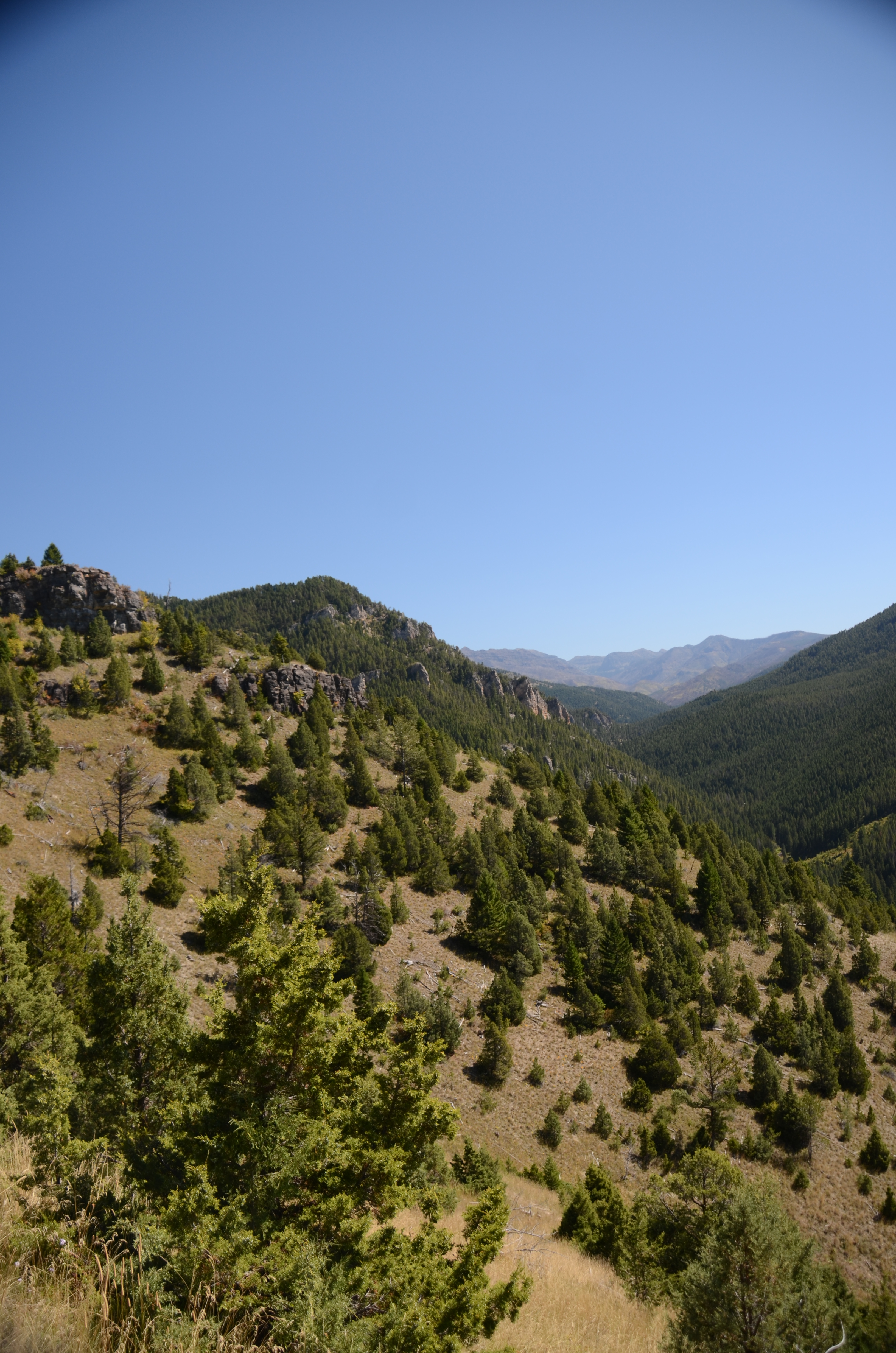 Looking up the steep open slope toward the limestone castle formations of Storm Castle Peak