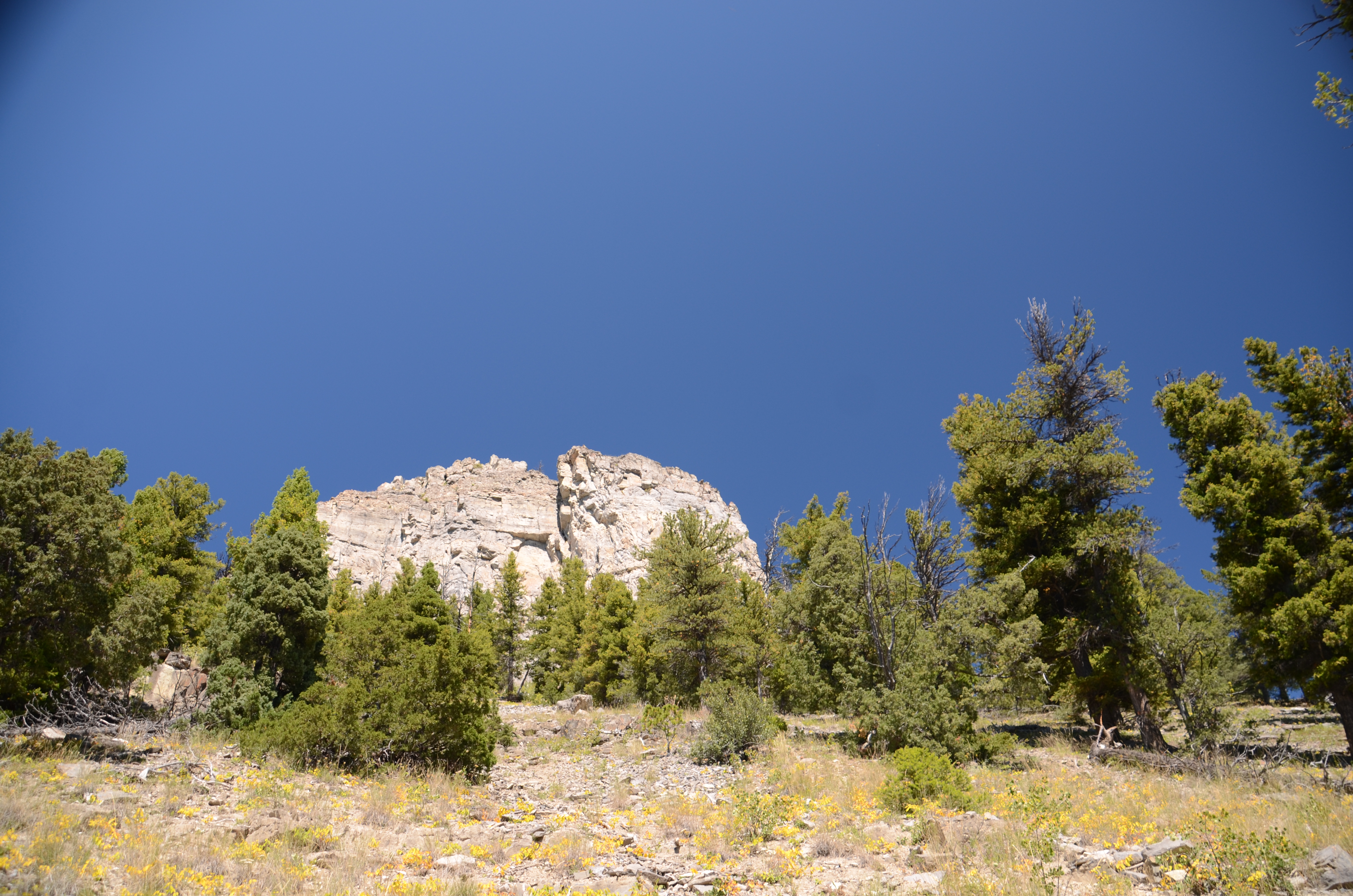 Storm Castle Peak summit tower rising above a wildflower meadow with a deep blue sky behind