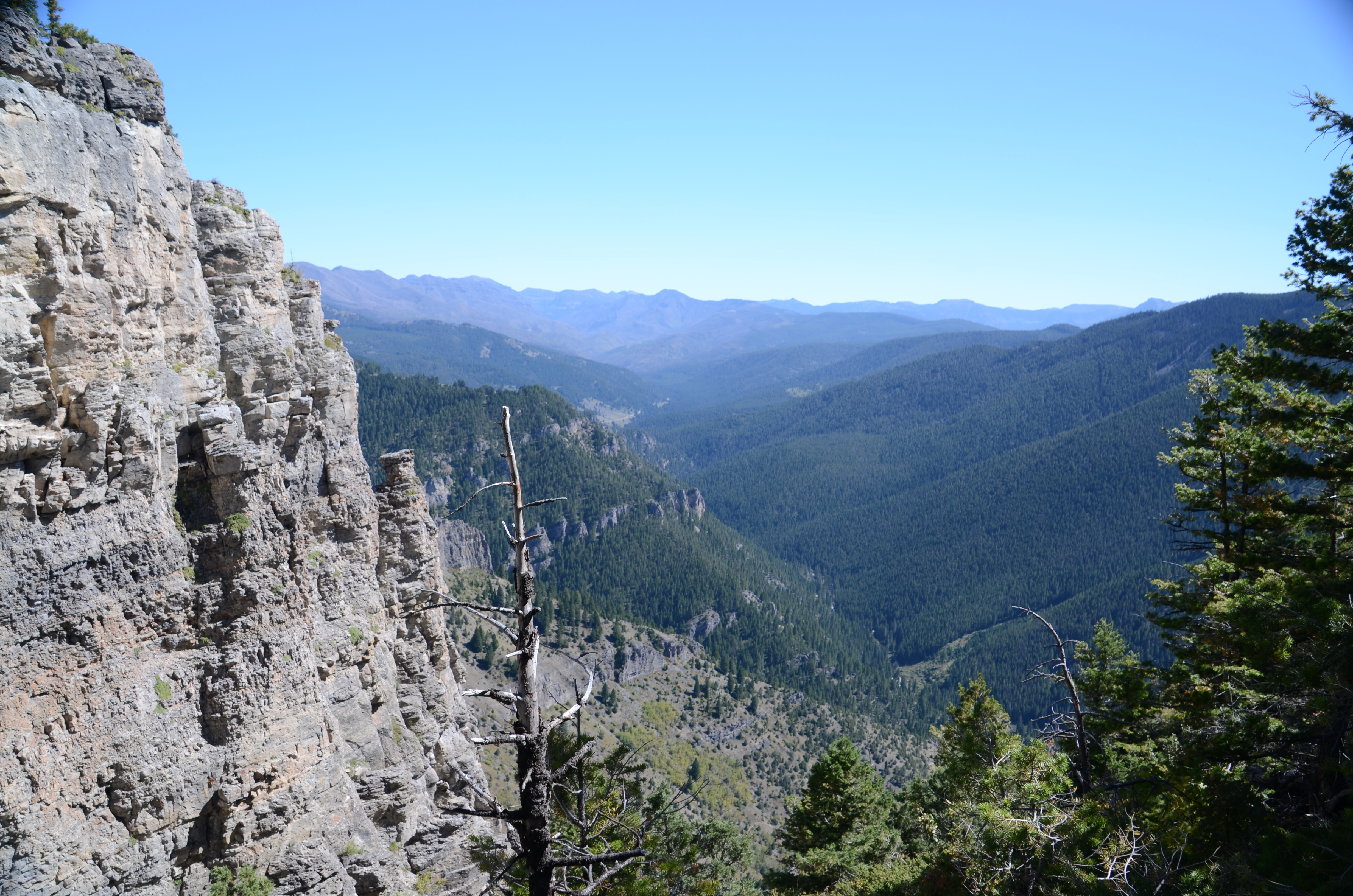 Sheer limestone cliff face of Storm Castle Peak with the Gallatin Canyon stretching into the distance