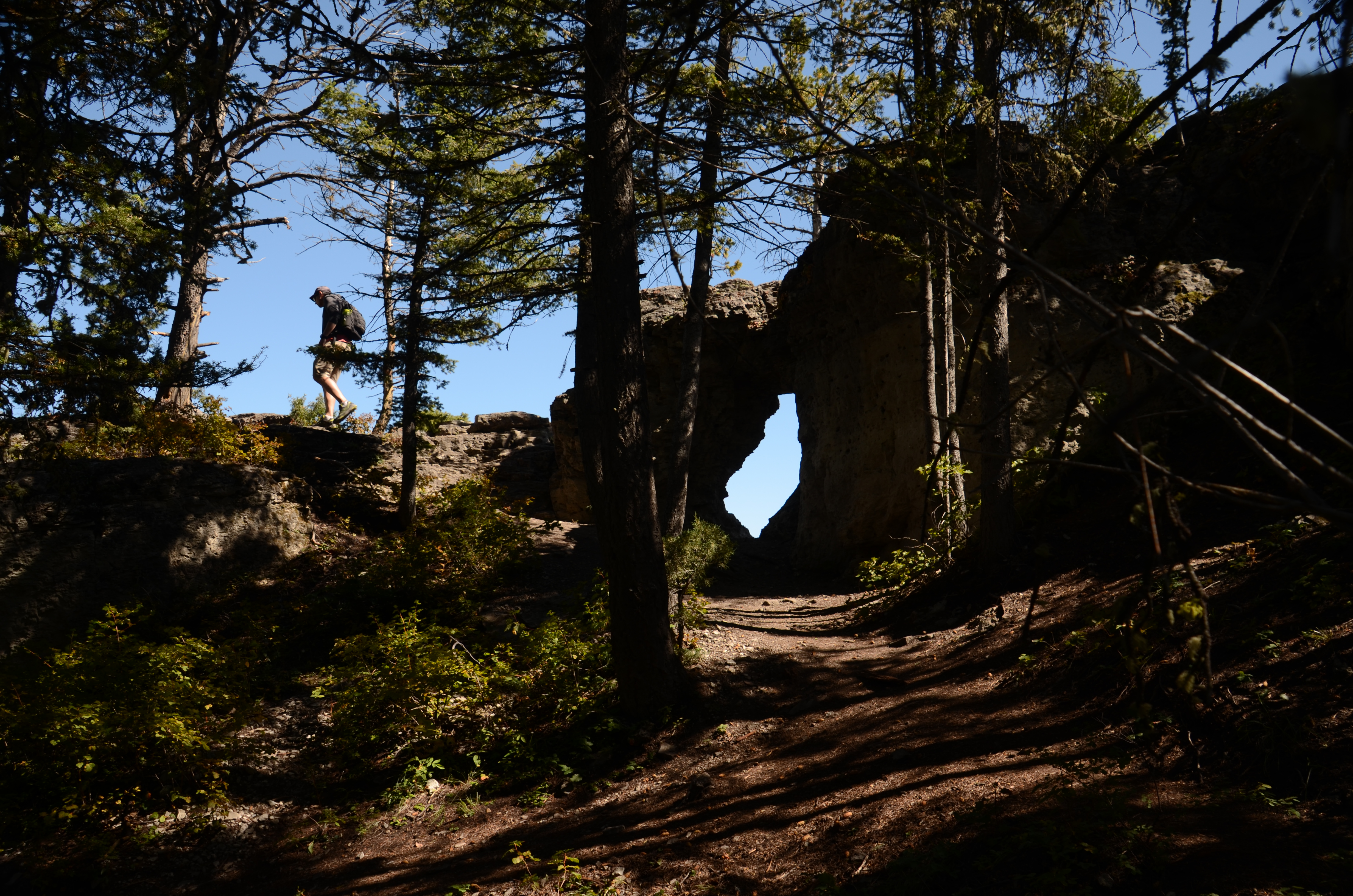 Hiker approaching the limestone arch on the Storm Castle Peak summit loop trail through pine forest