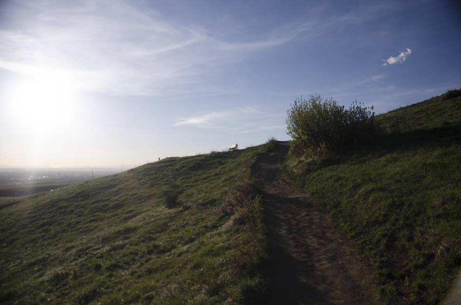 Trail winding up grassy hillside toward viewpoint bench