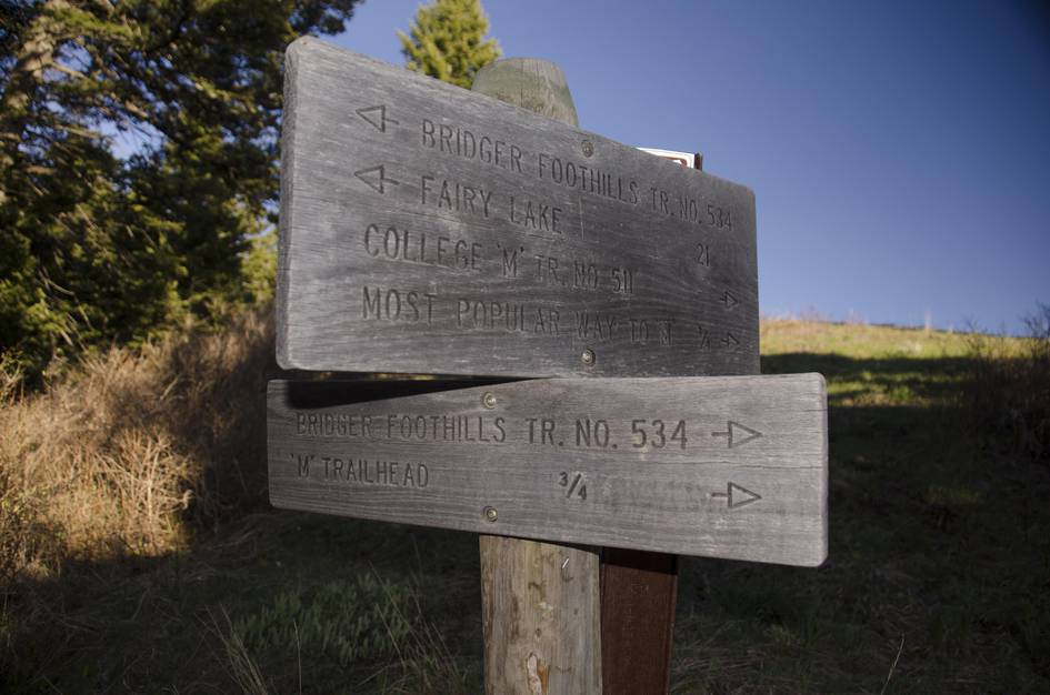 Weathered wooden trail sign showing directions to Fairy Lake and College M