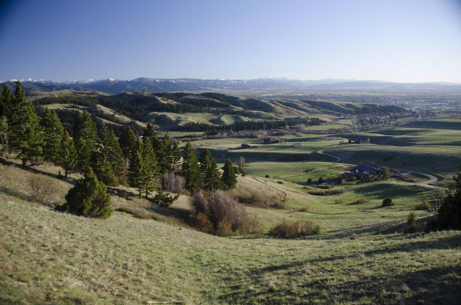 View of green rolling hills with Bozeman and distant mountains