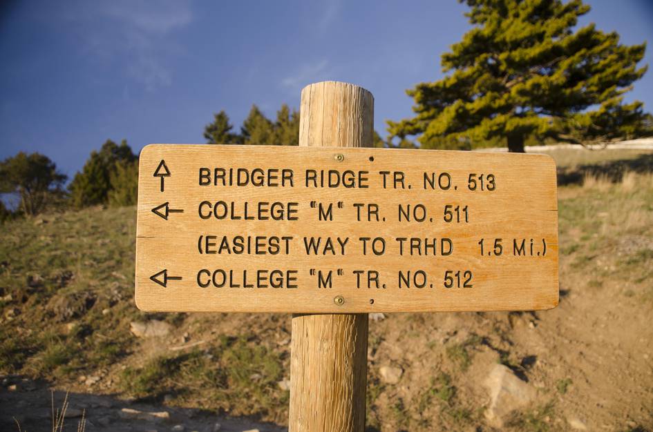 Trail sign showing Bridger Ridge and College M trails with distances