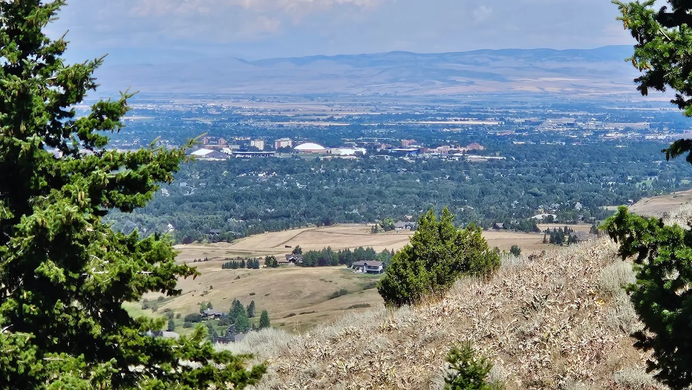 Bozeman and the Gallatin Valley visible through a frame of dark fir trees from the upper section of the Triple Tree Trail