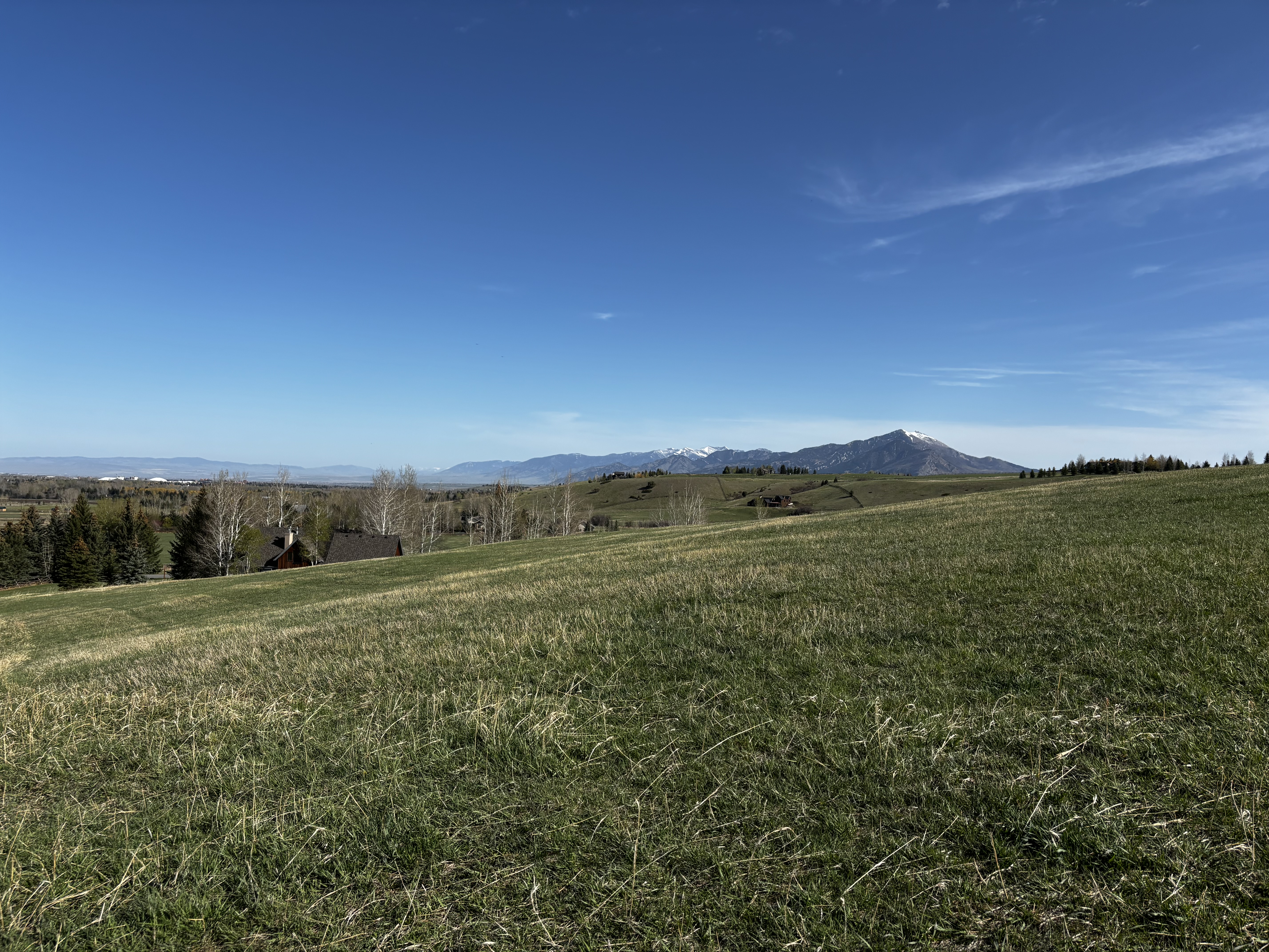 Open ranch meadow looking west across the Gallatin Valley toward snow-capped peaks under a deep blue sky