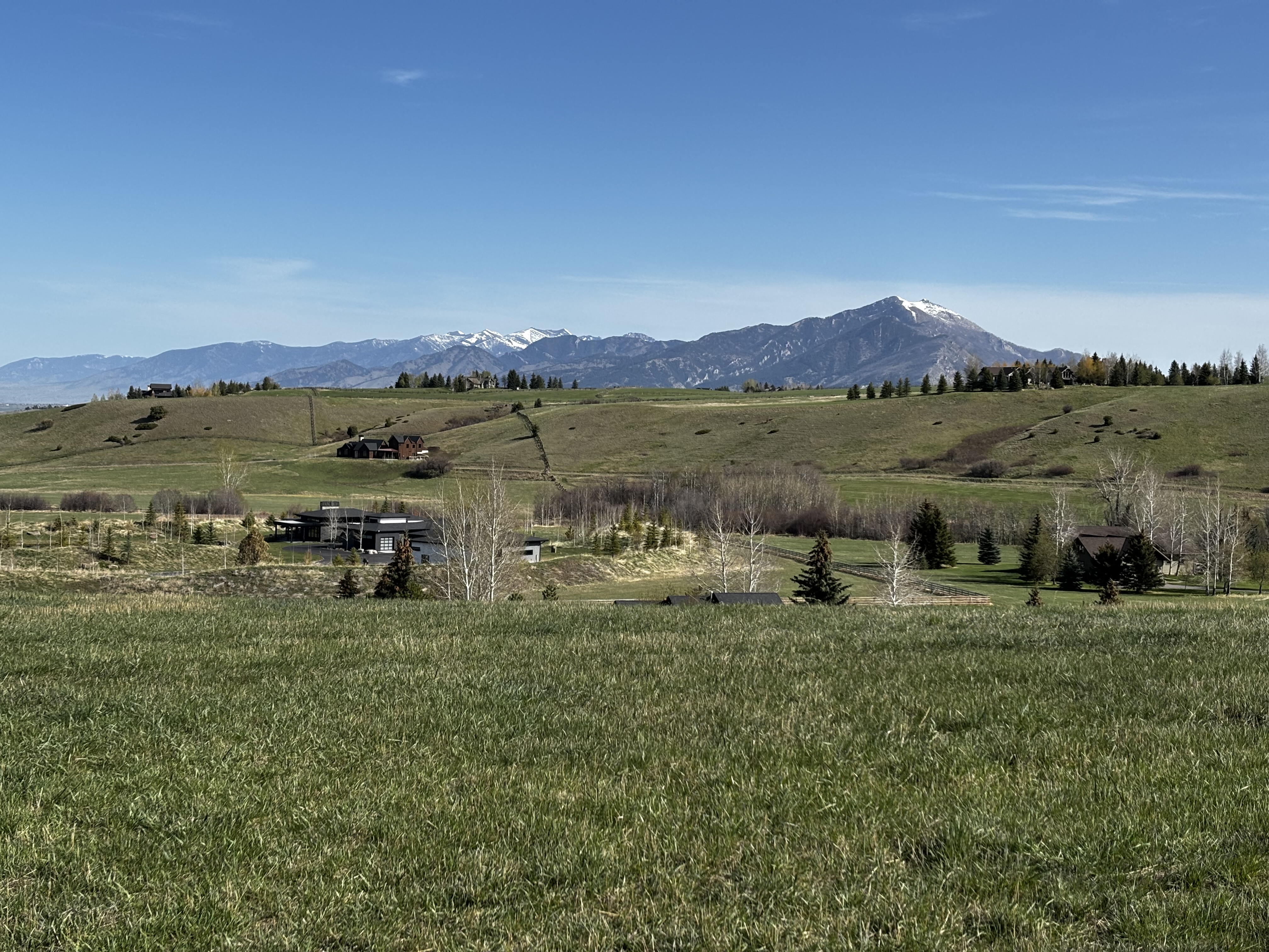 Wide open ranch meadow looking west toward snow-capped Lone Mountain and the Gallatin Valley under a blue sky