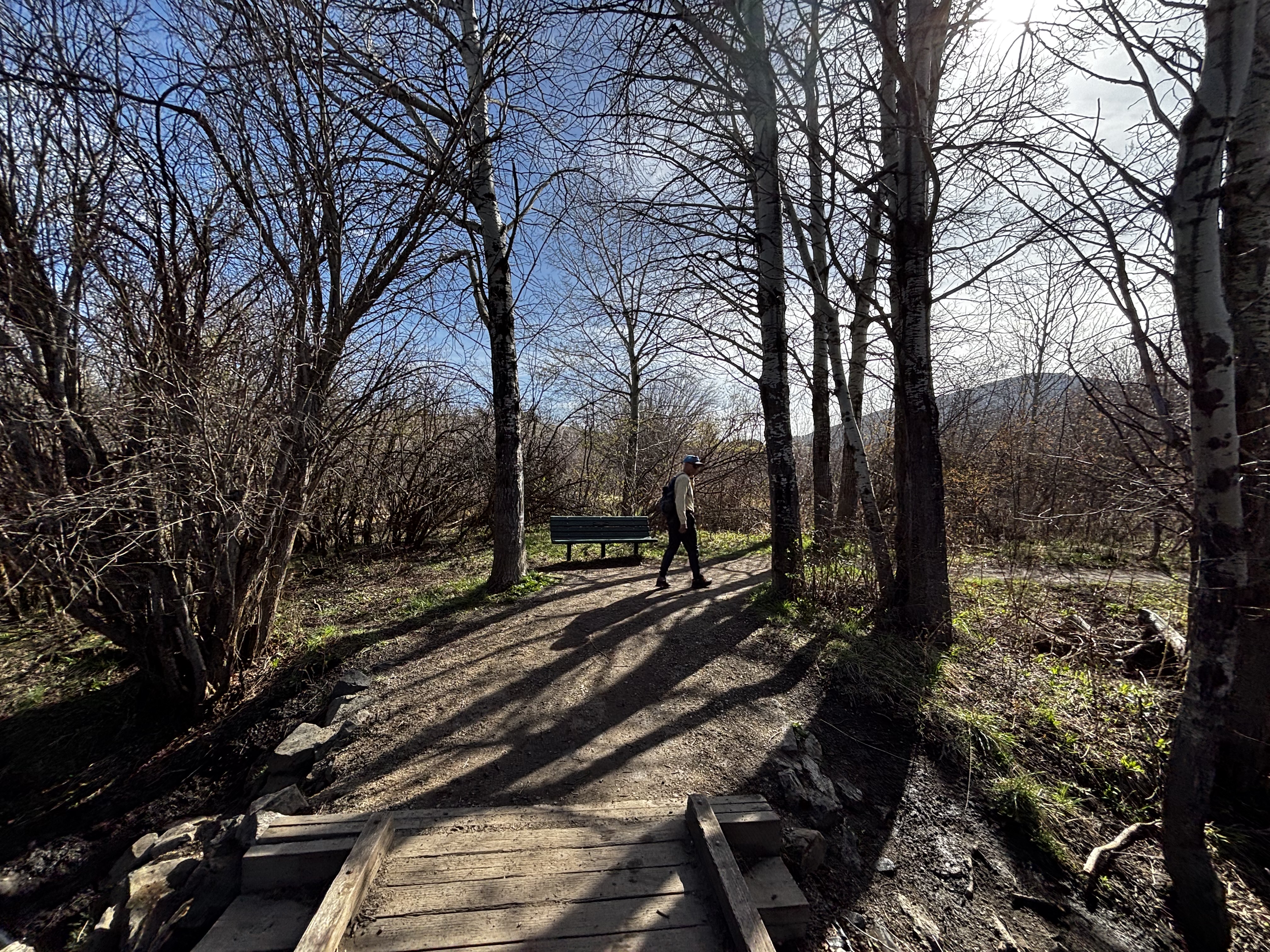 Hiker walking past a wooden bench near the Limestone Creek boardwalk crossing, surrounded by willows and bare aspens