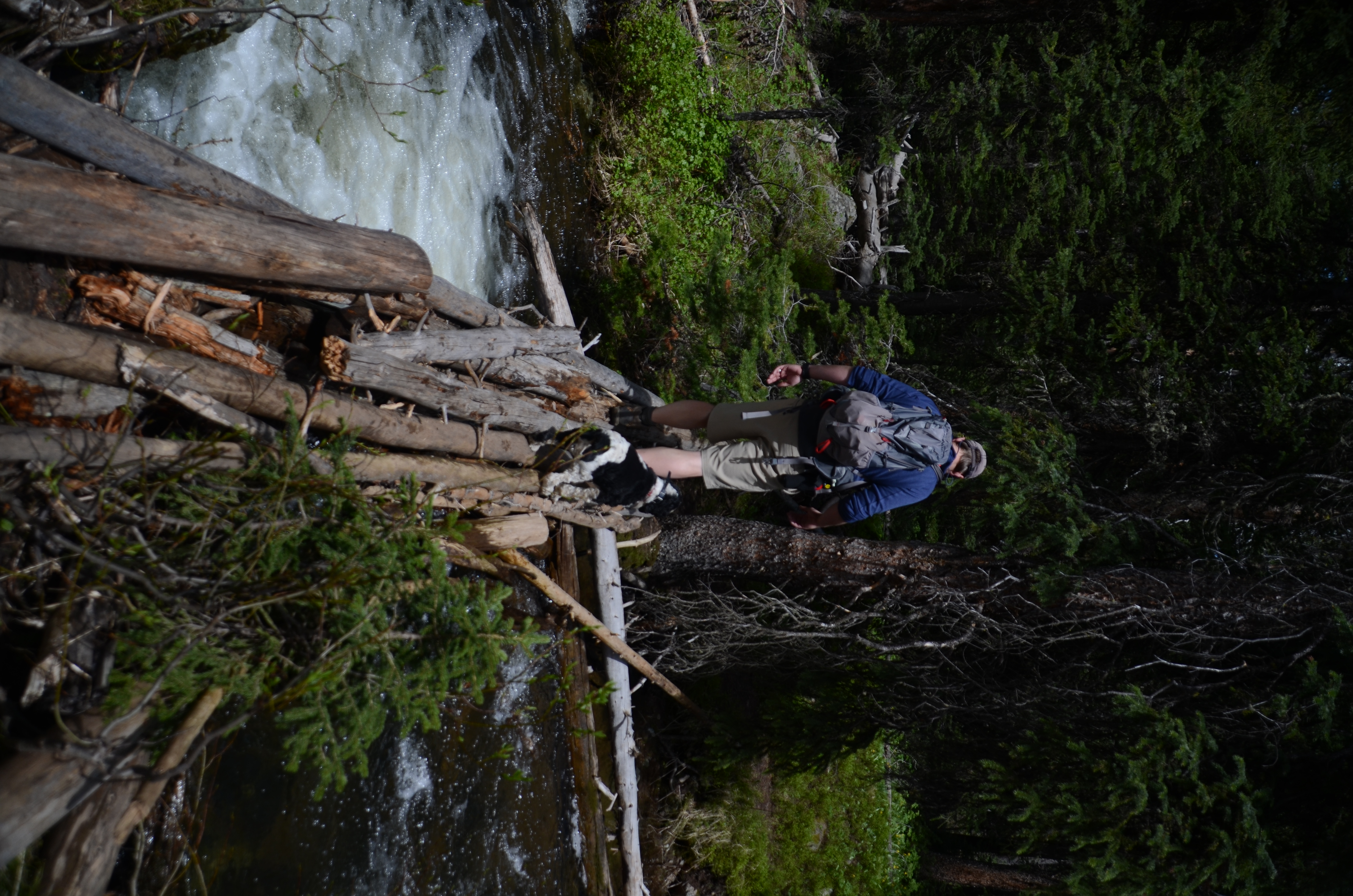 Hiker crossing a log bridge over Portal Creek with rushing water and a small waterfall below on the Windy Pass trail