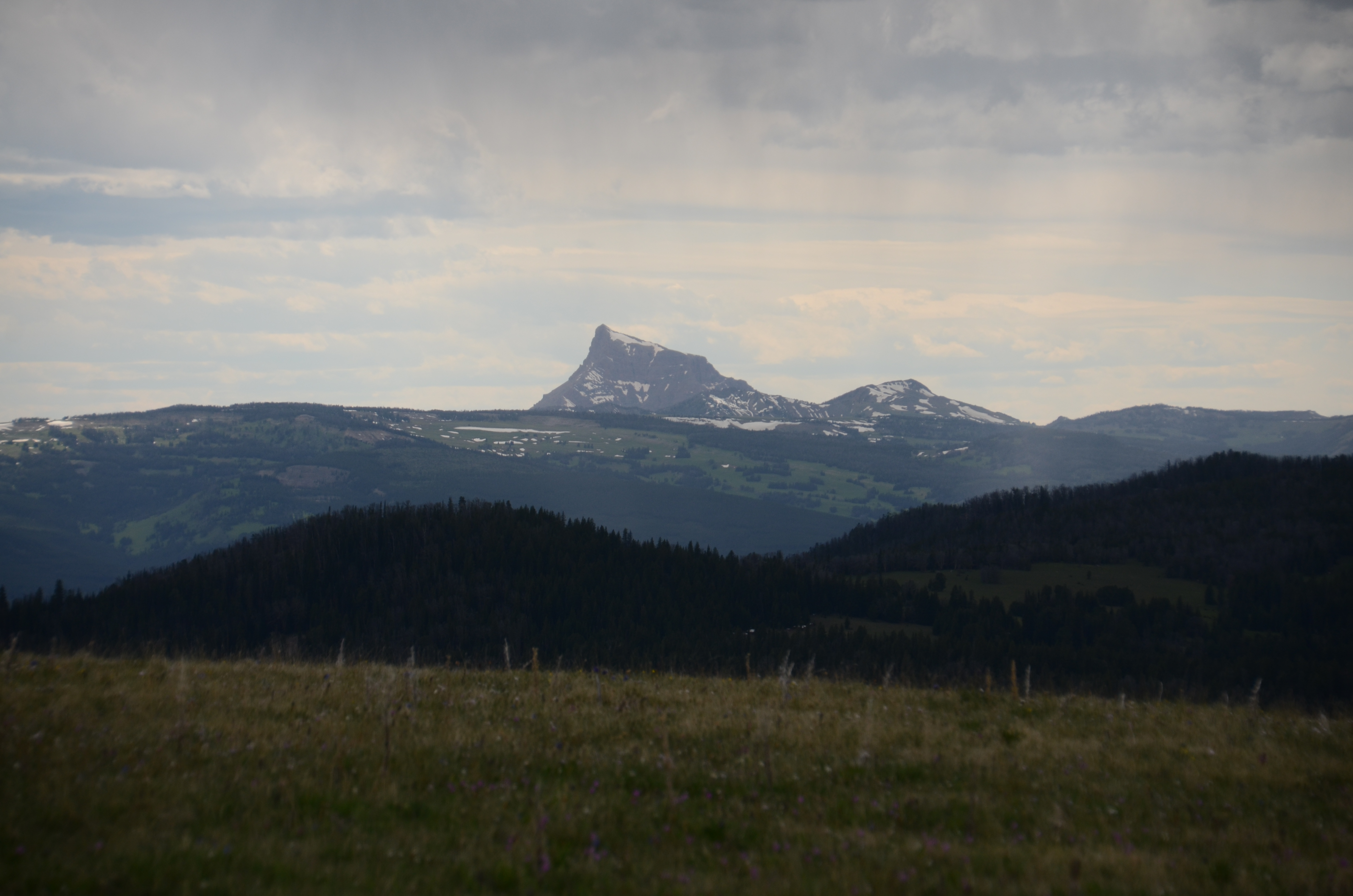 Snow-capped Sentinel Mountain rising above rolling green hills on the approach to Windy Pass in the Gallatin Range