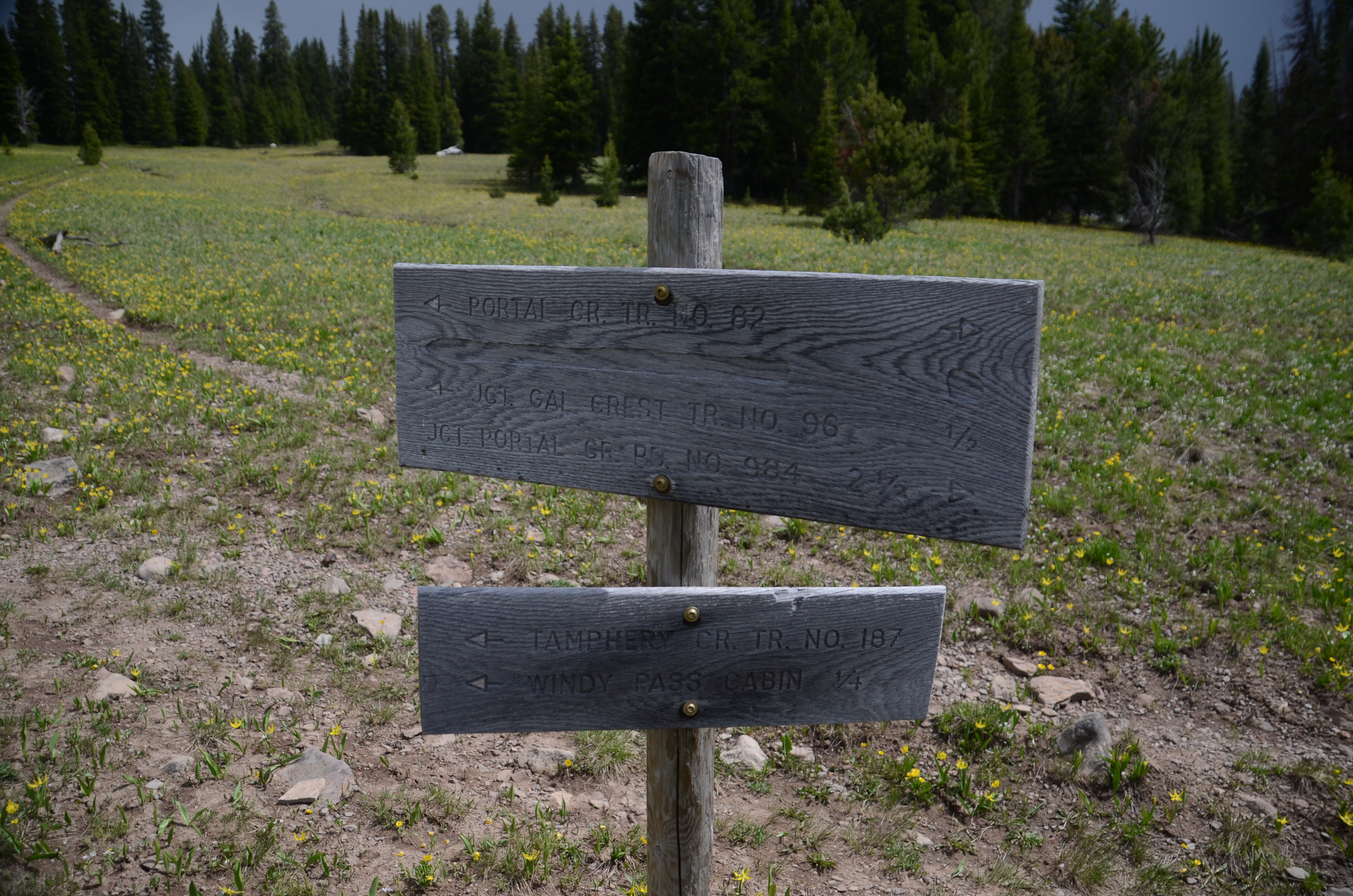 Trail junction sign in a wildflower meadow at Windy Pass showing connections to the Gallatin Crest Trail