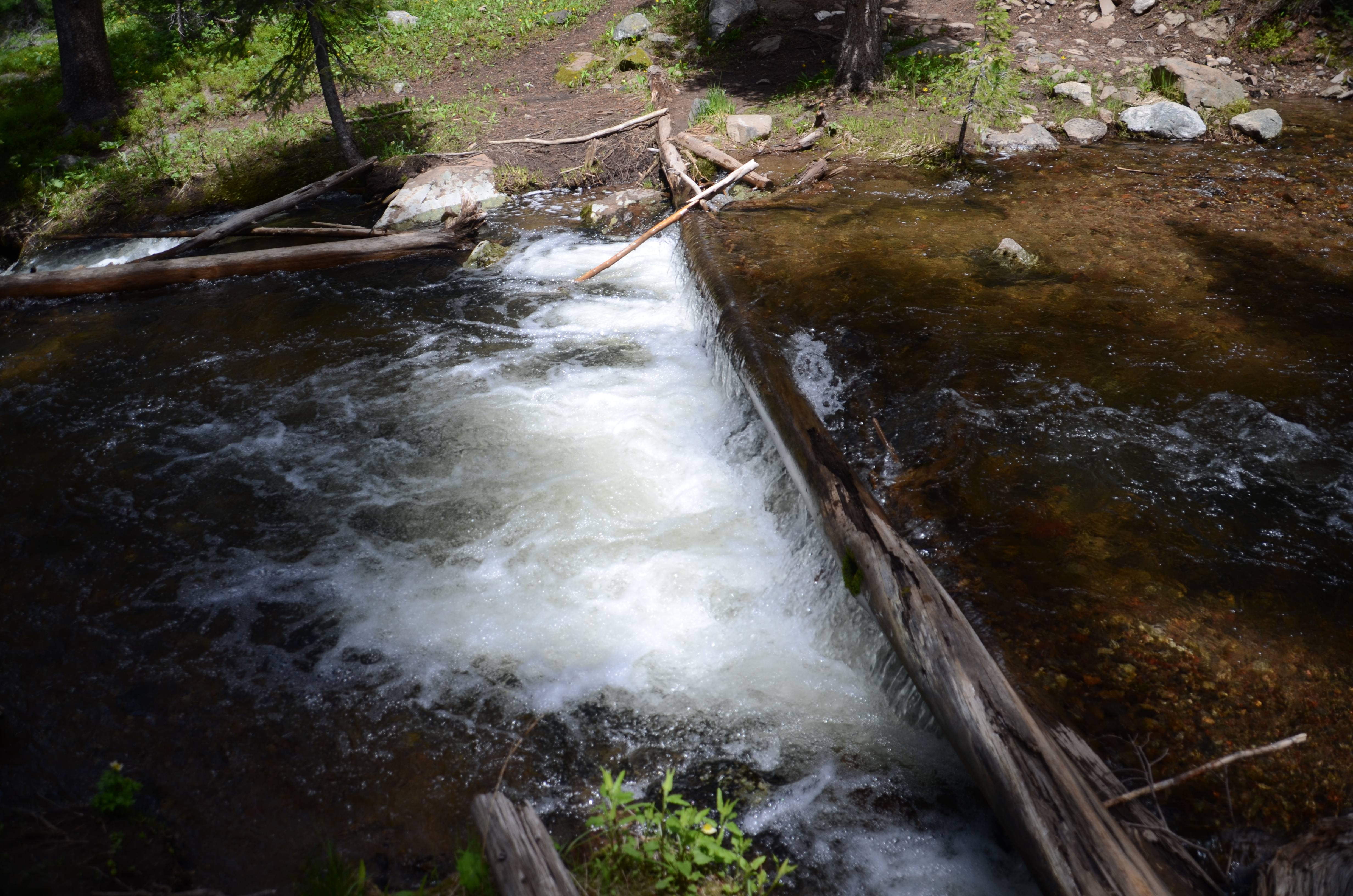 Churning Portal Creek at the main water crossing on the Windy Pass trail near Big Sky Montana