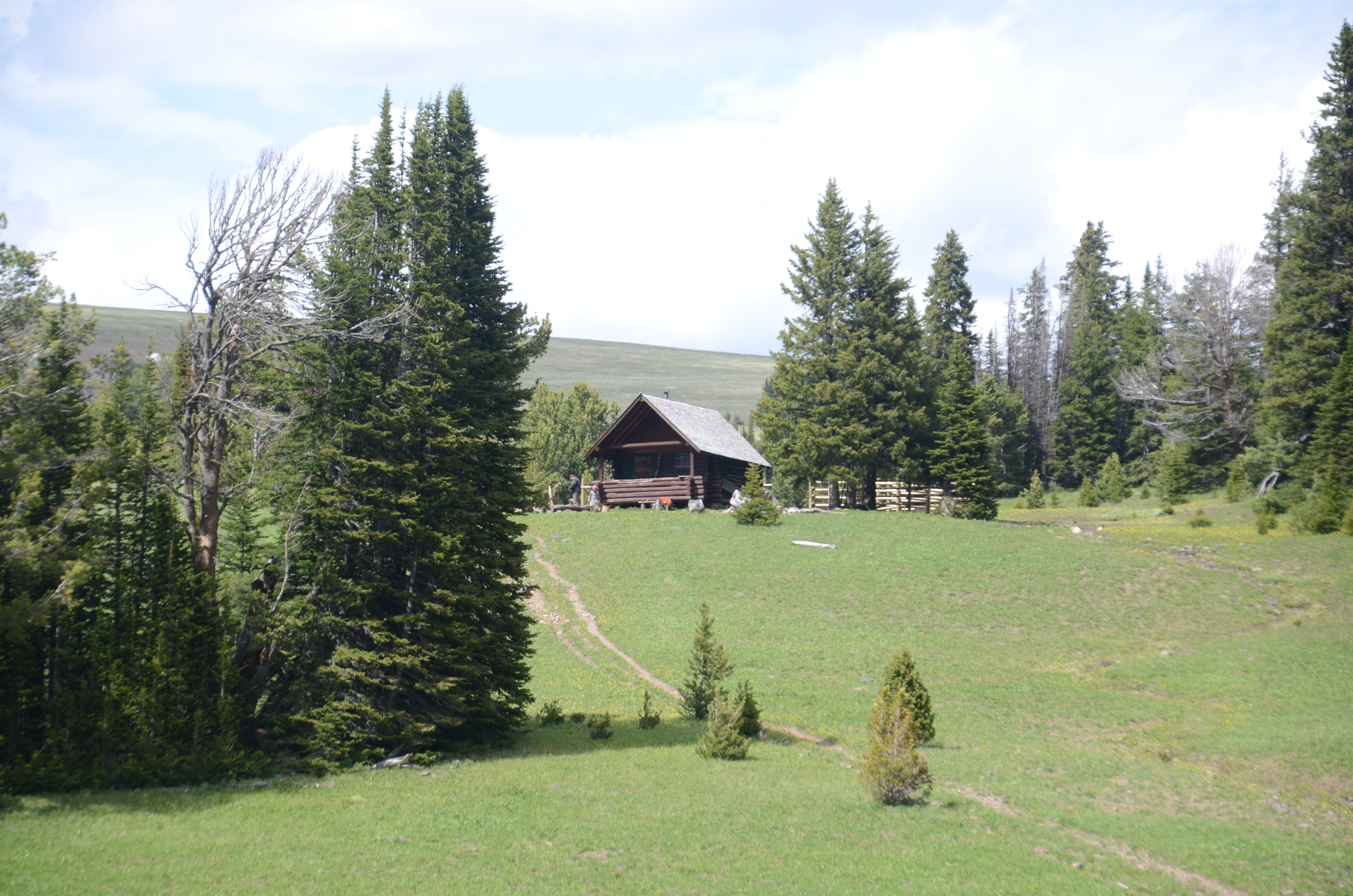 Historic 1934 Windy Pass Cabin in a wide green alpine meadow surrounded by pine trees in the Gallatin National Forest
