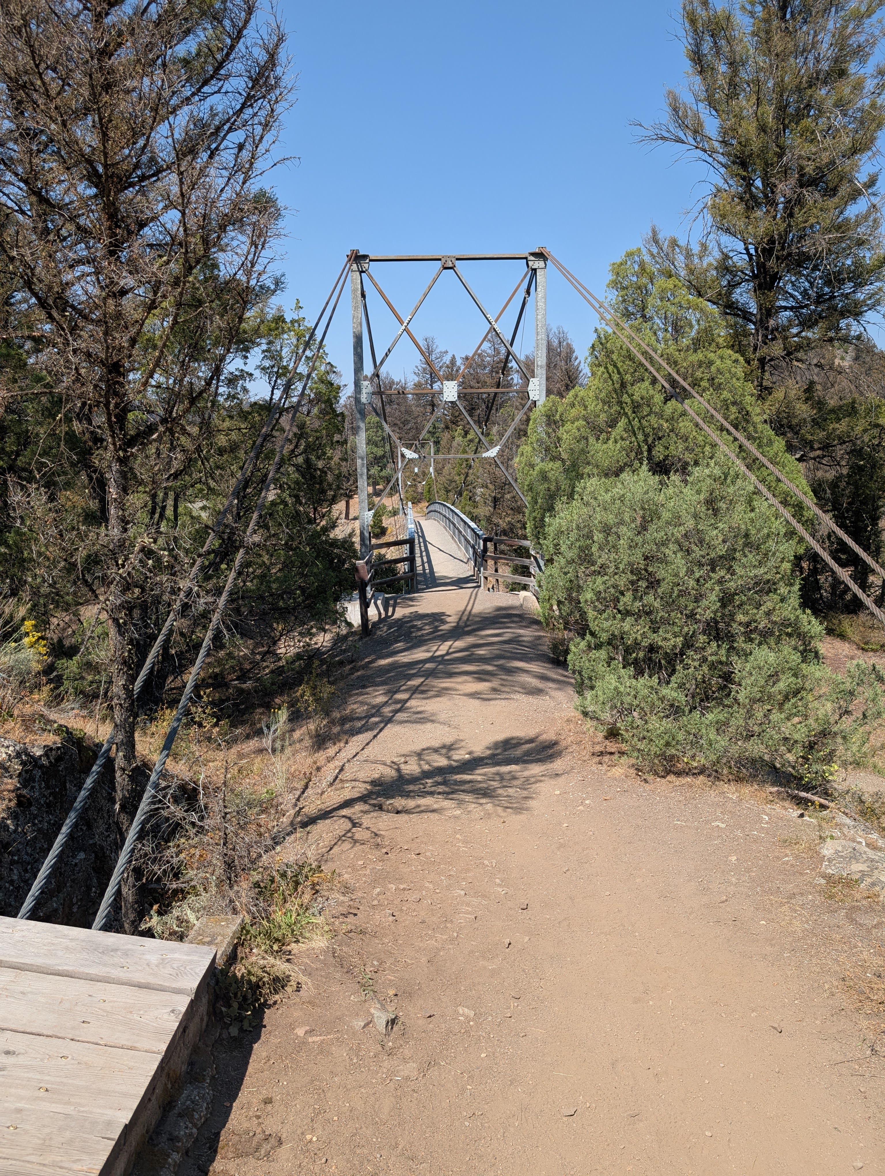 Hellroaring suspension bridge above the Yellowstone River canyon