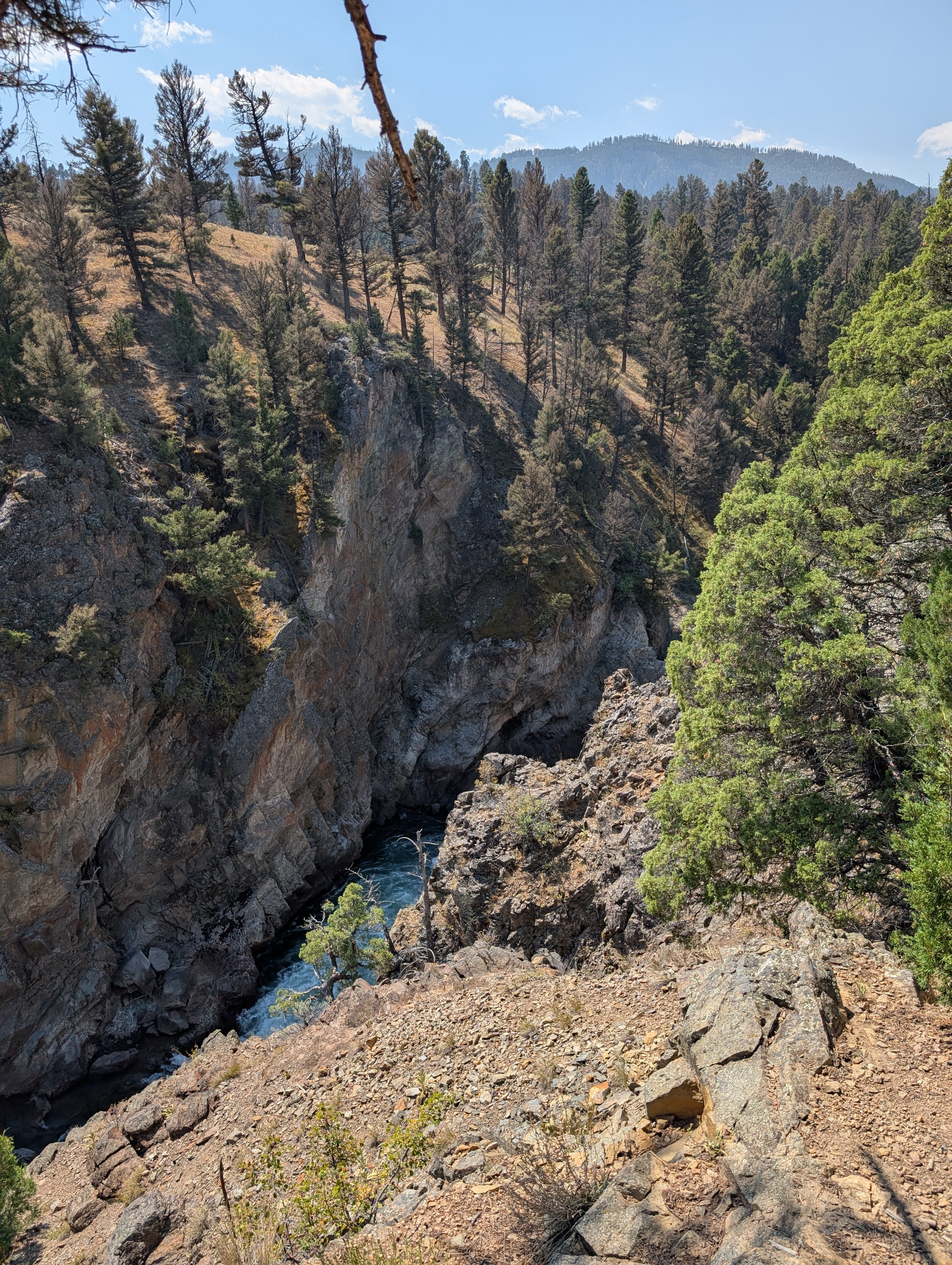 Rocky canyon below the Hellroaring suspension bridge in Yellowstone National Park