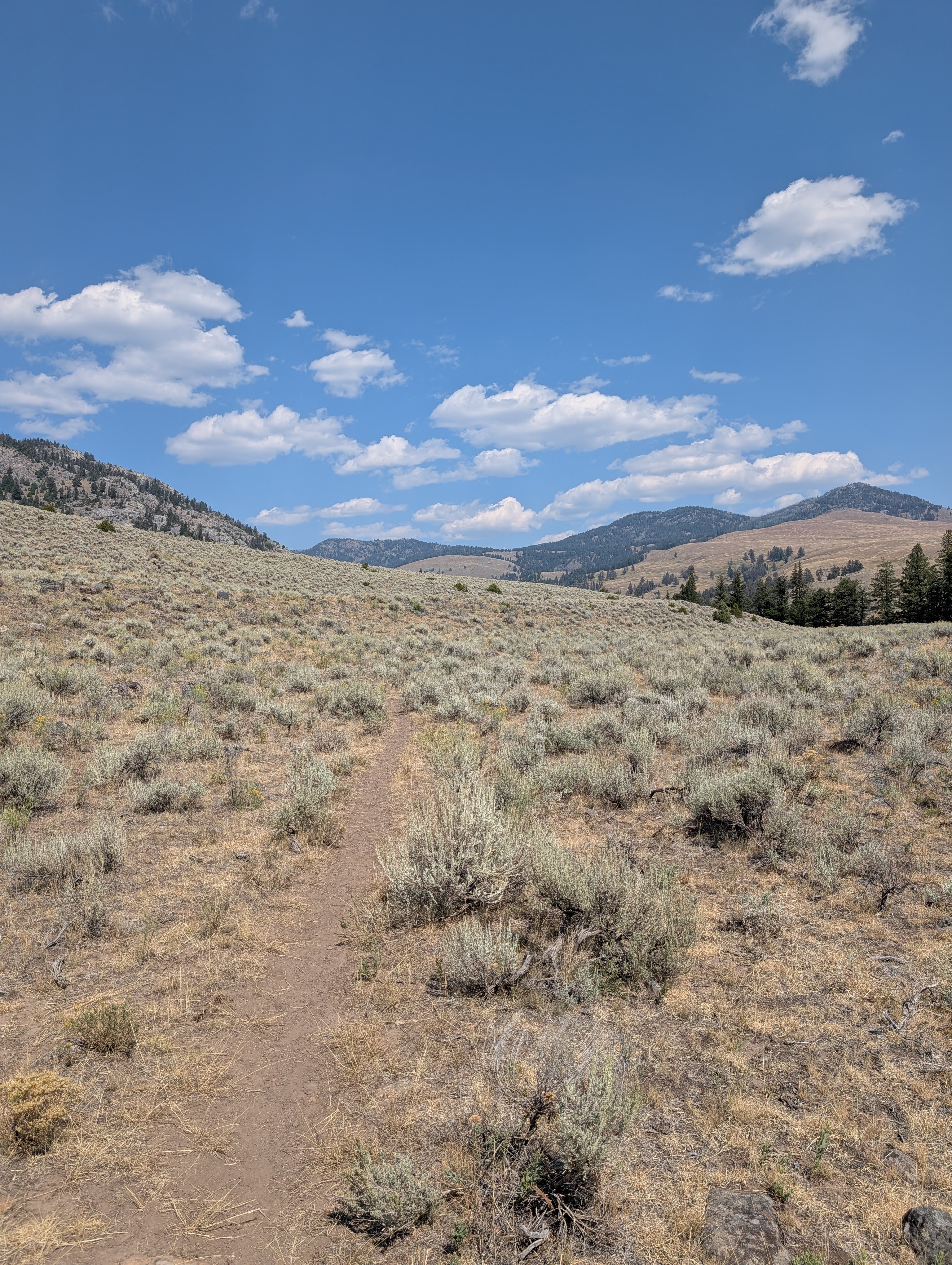 Dirt trail through open sagebrush terrain on the Hellroaring Creek Trail