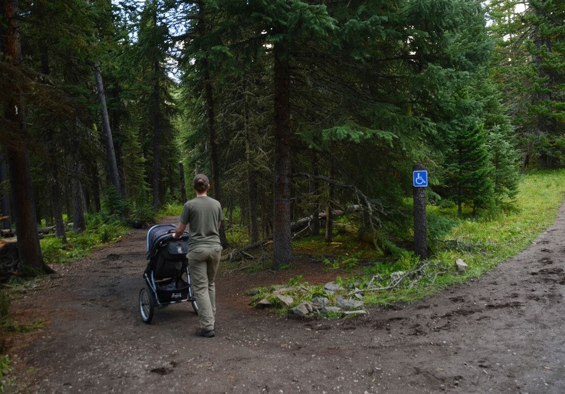 Person pushing a jogging stroller on the gravel Grotto Falls trail with an accessibility sign on a pine tree in Hyalite Canyon