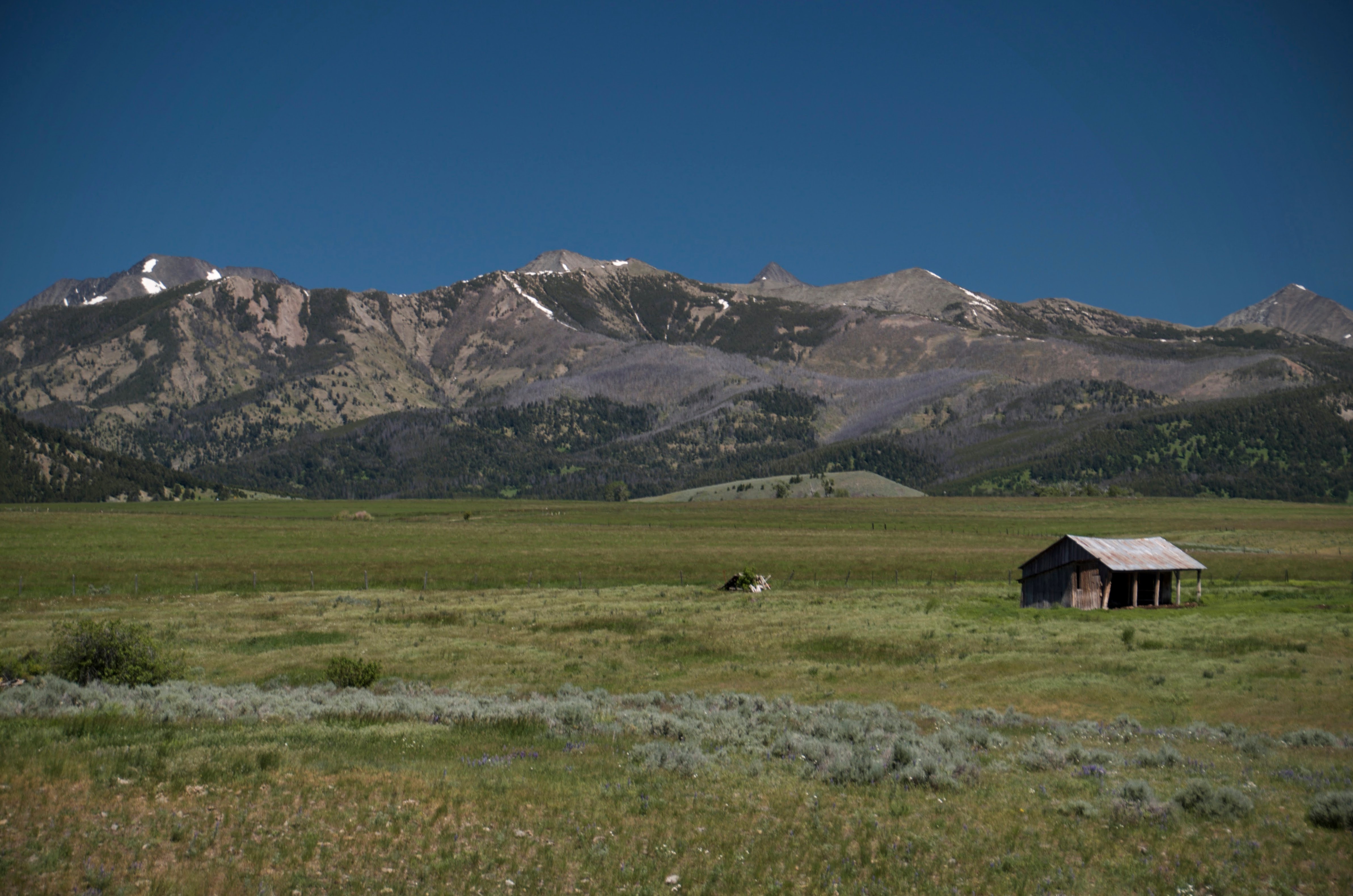 The Crazy Mountains rising from the Montana plains