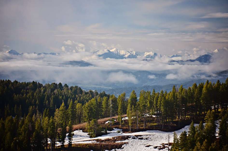 Patchy snow in foreground with evergreen trees and snow-capped mountains in the distance under cloudy skies
