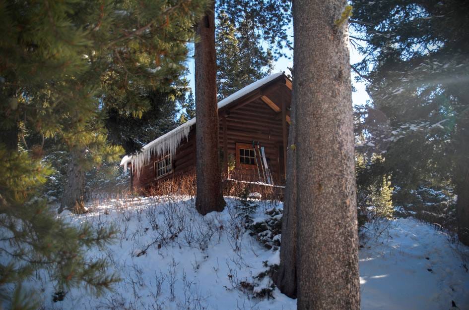 Rustic log cabin with icicles nestled among pine trees in winter snow