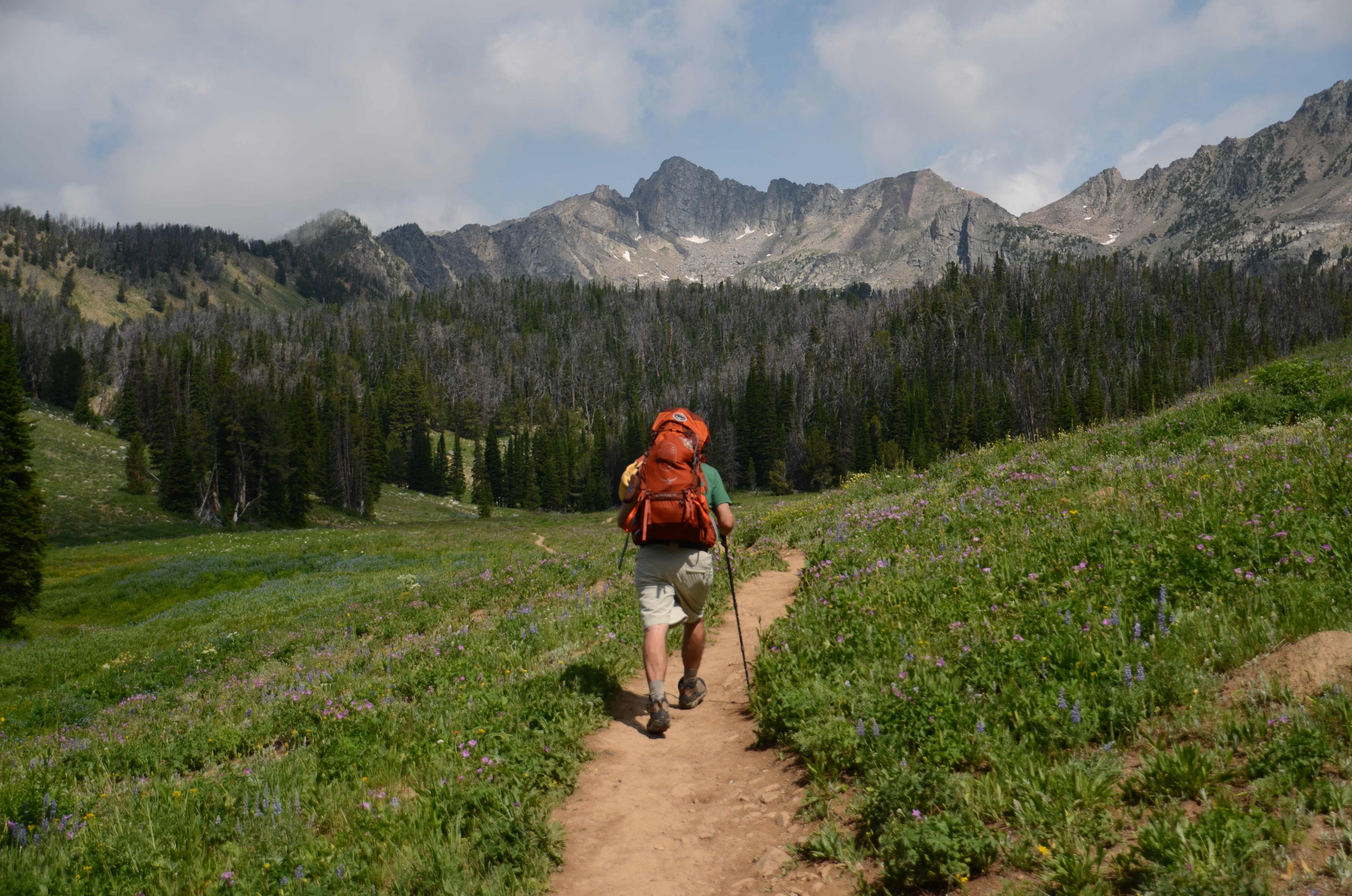 Hiker with a red backpack on a trail through wildflower meadows with dramatic rocky peaks in Beehive Basin near Big Sky, Montana