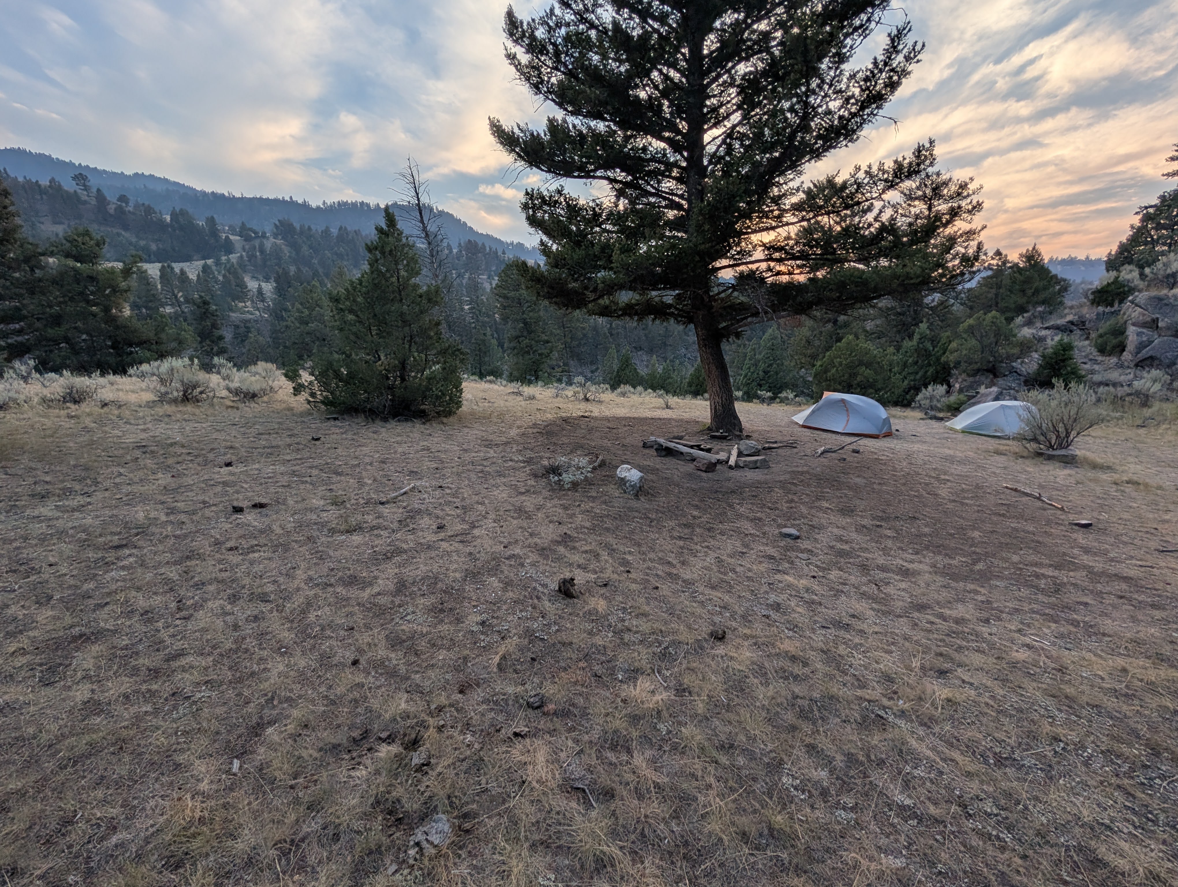 Two tents at Yellowstone’s 2H1 backcountry campsite beneath a pine at sunset